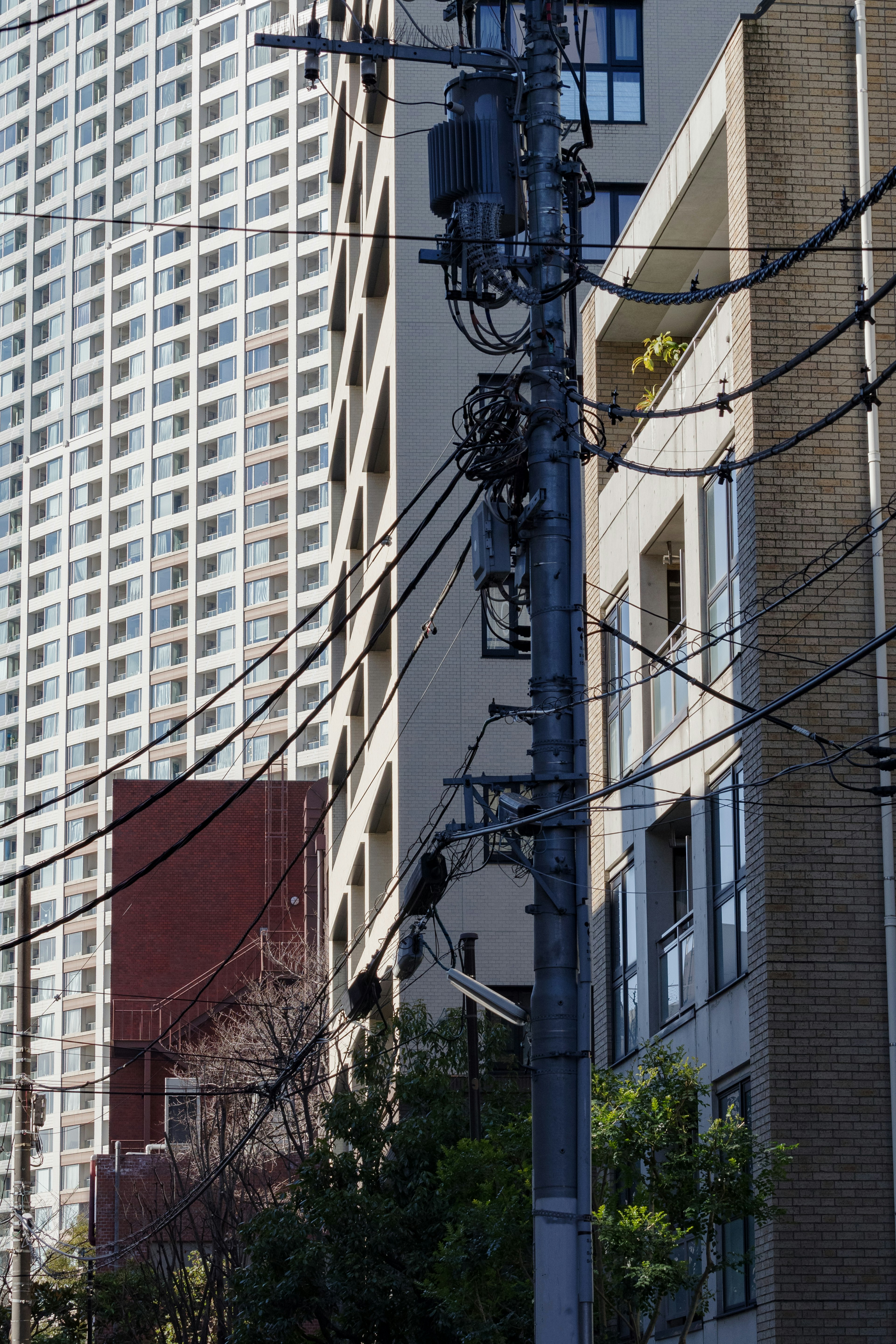 高層ビルと電柱が立ち並ぶ都市の風景