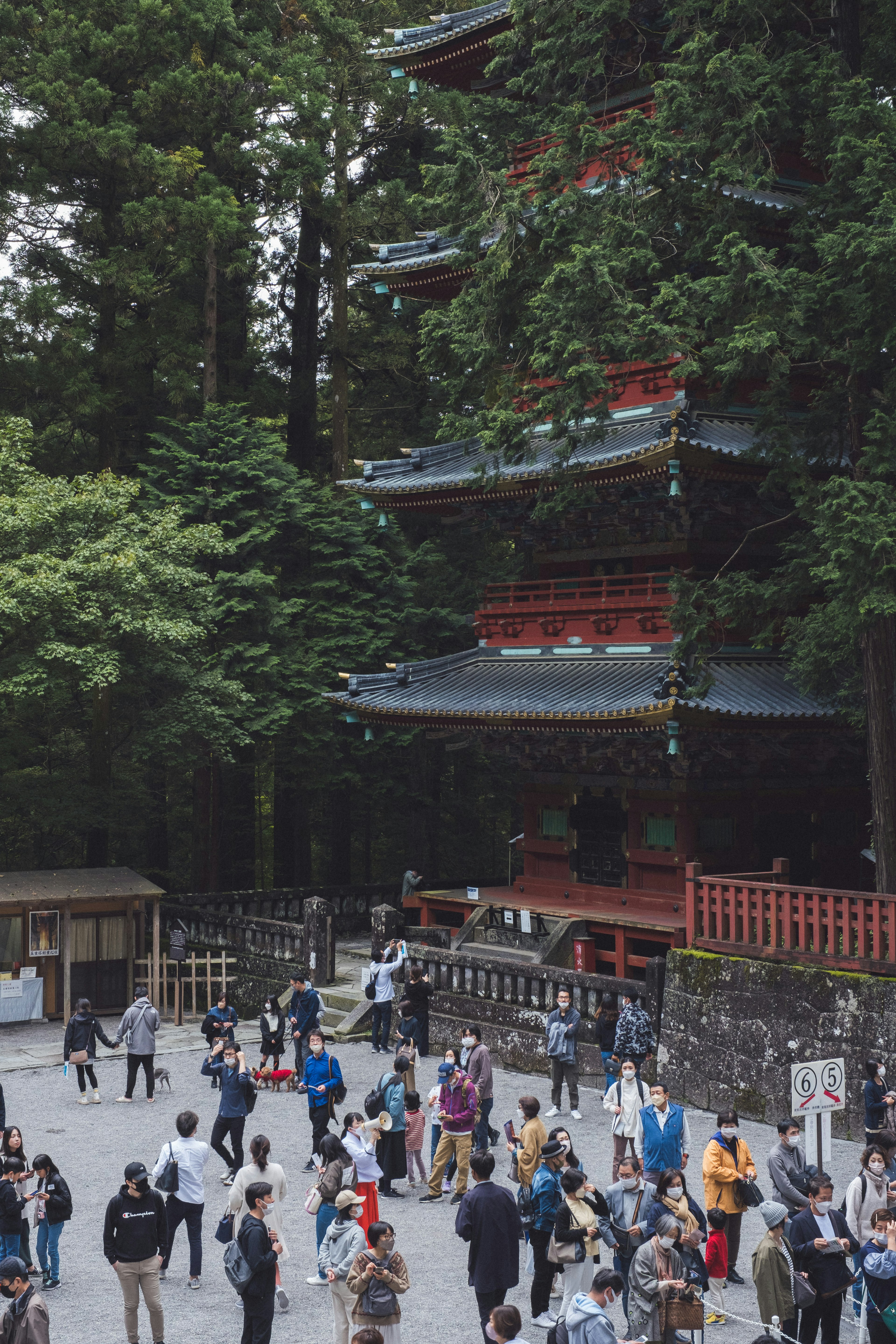 緑の木々に囲まれた赤い五重塔と多くの観光客がいる風景