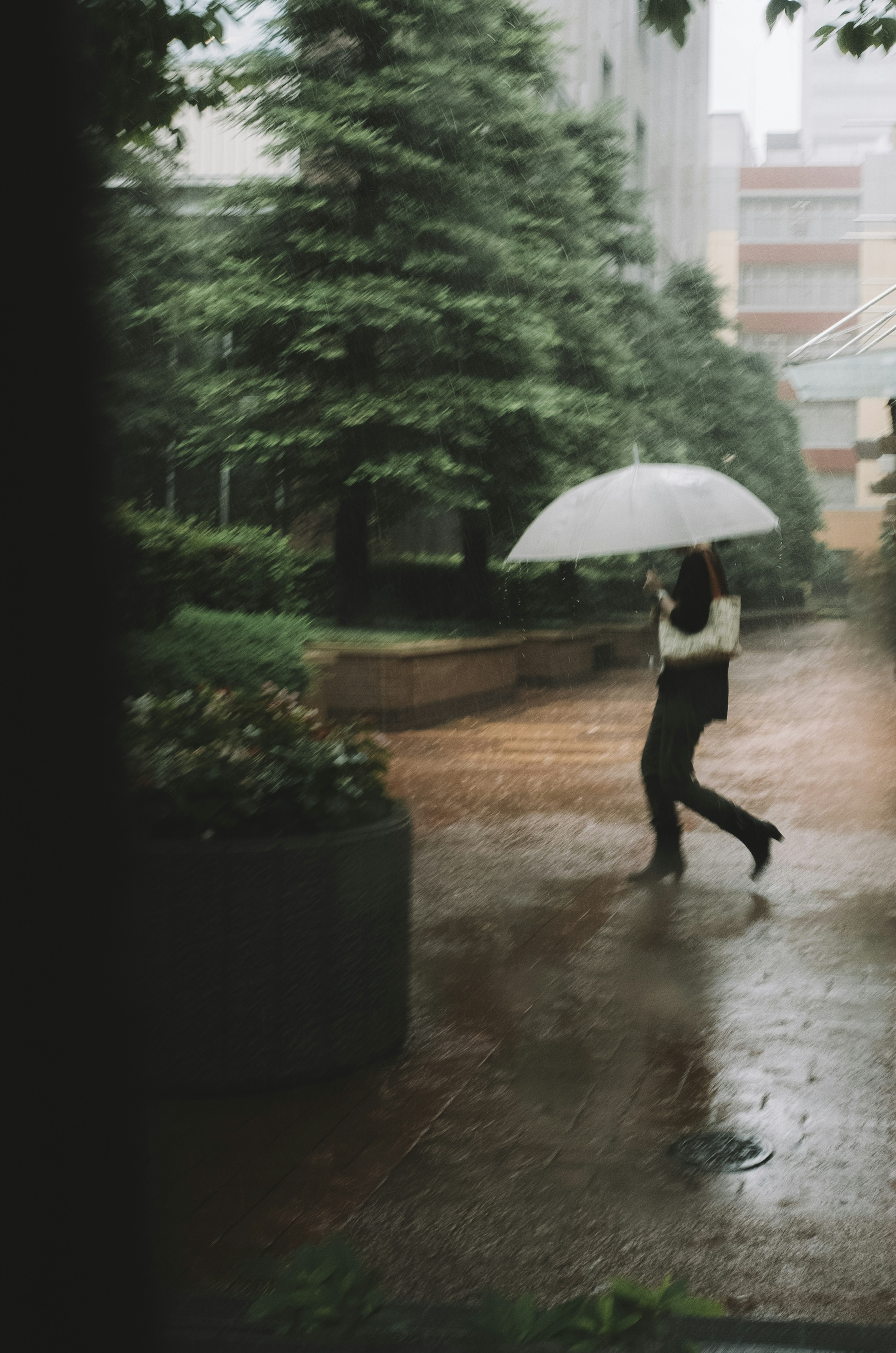 A woman walking in the rain holding a white umbrella in a green garden setting