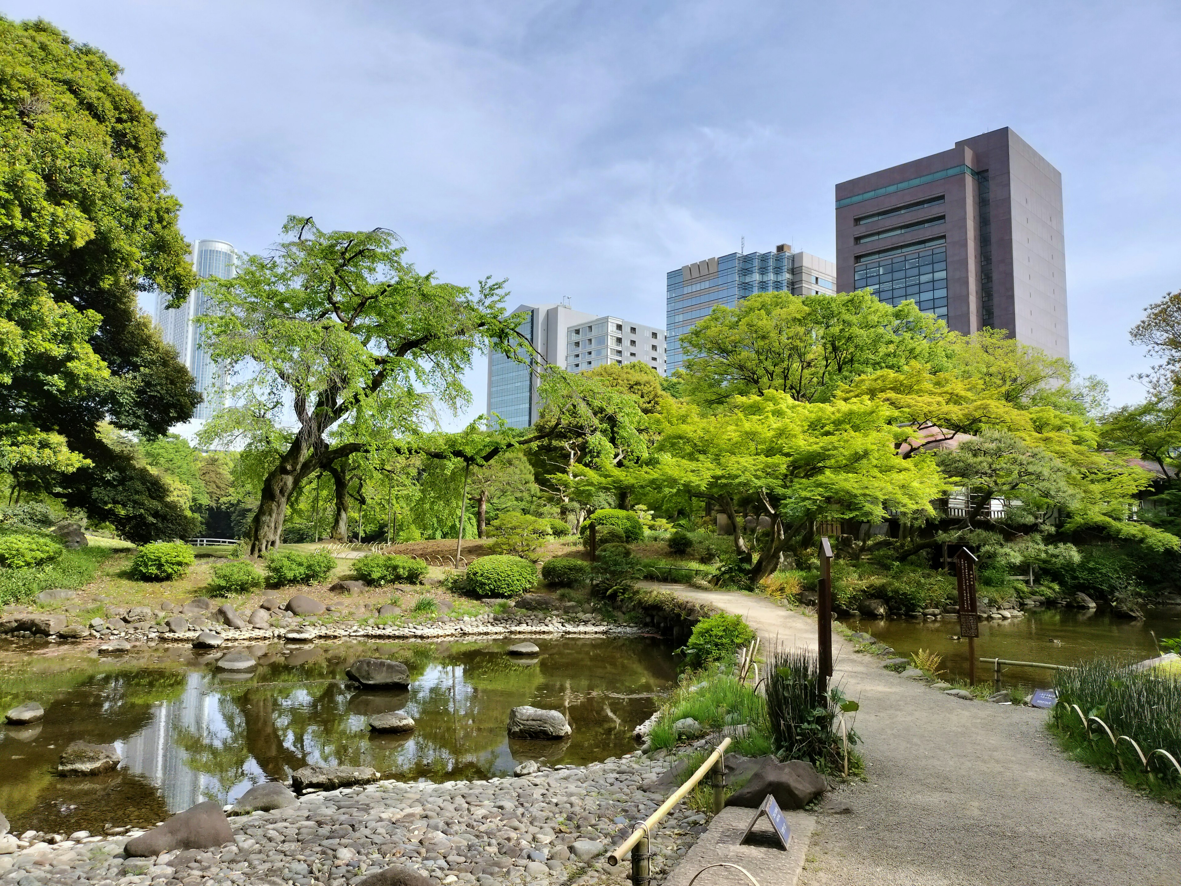 Scenic view of a lush park with a pathway near a pond reflecting skyscrapers