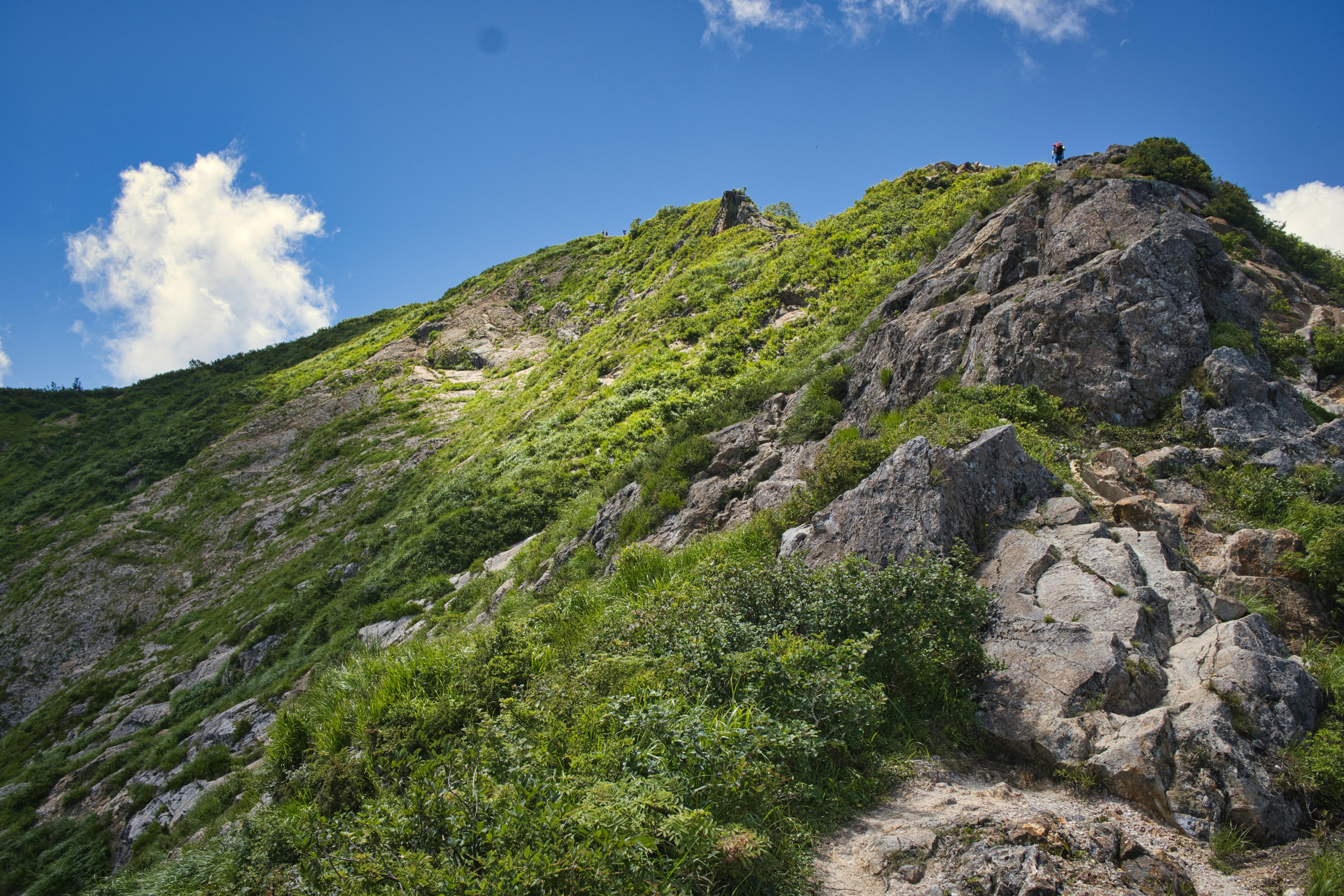 Vista escénica de una ladera de montaña cubierta de vegetación y rocas