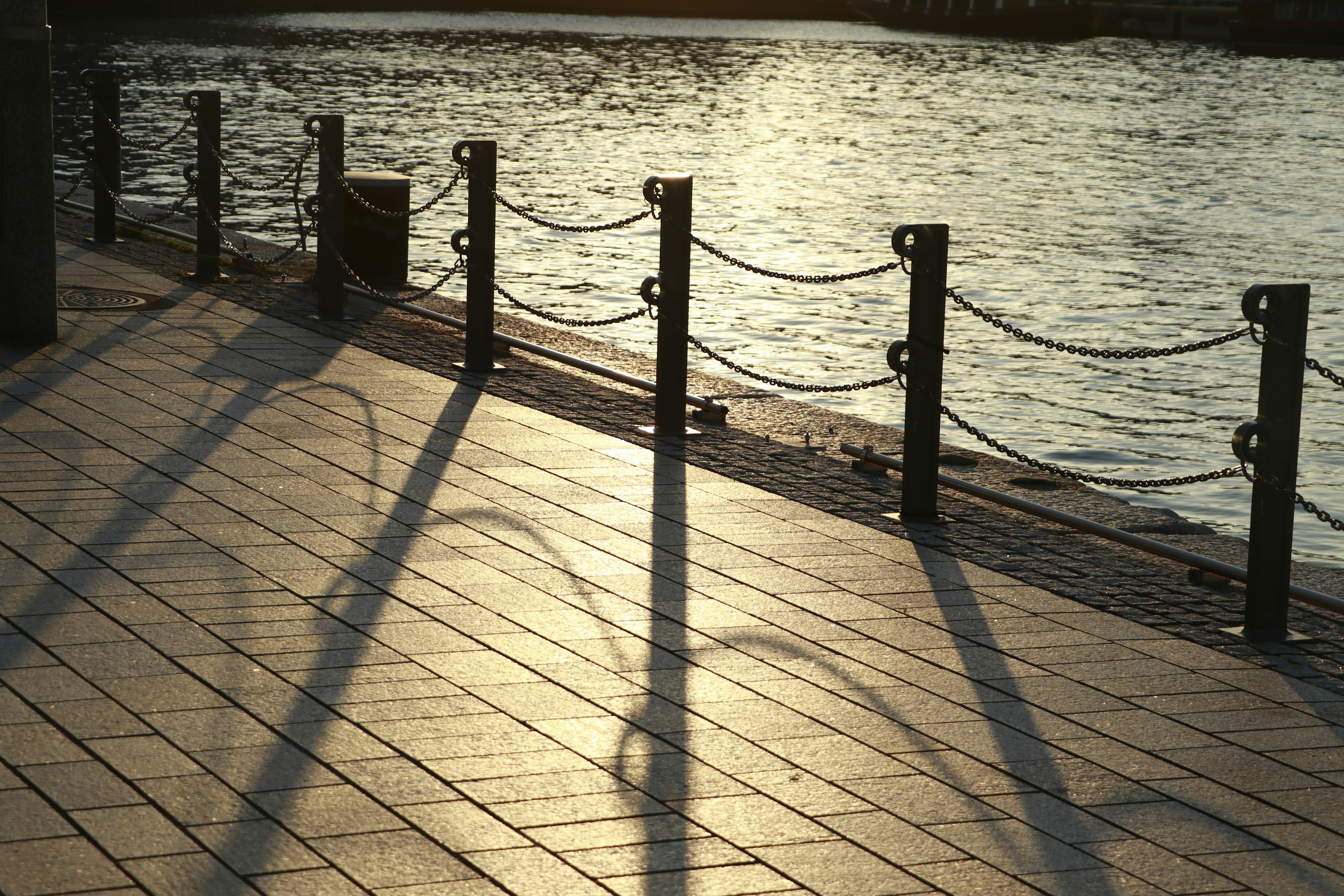 Sombras proyectadas en una acera cerca del río con barandillas metálicas