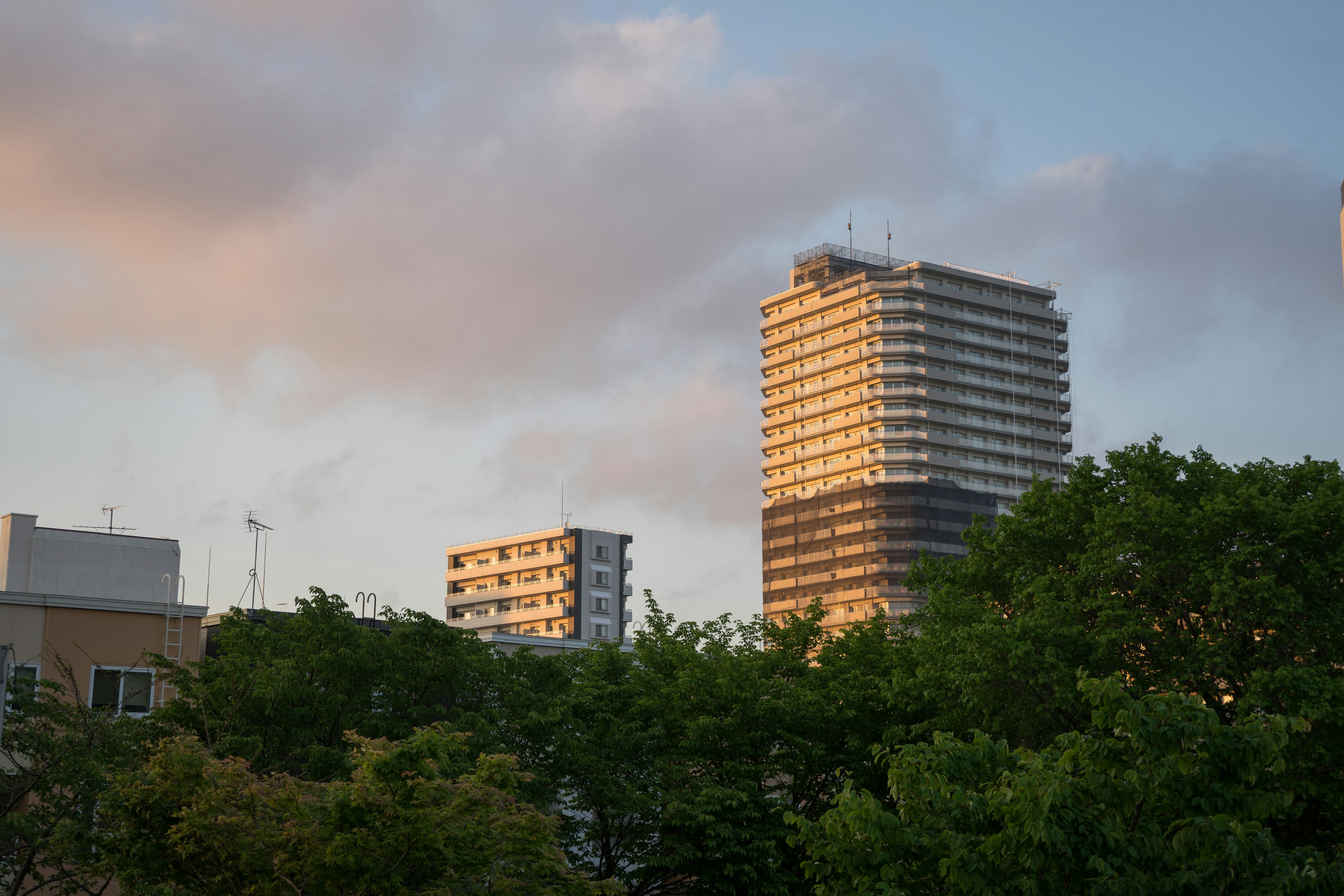 高层建筑在日落时分被照亮，周围有绿色树木