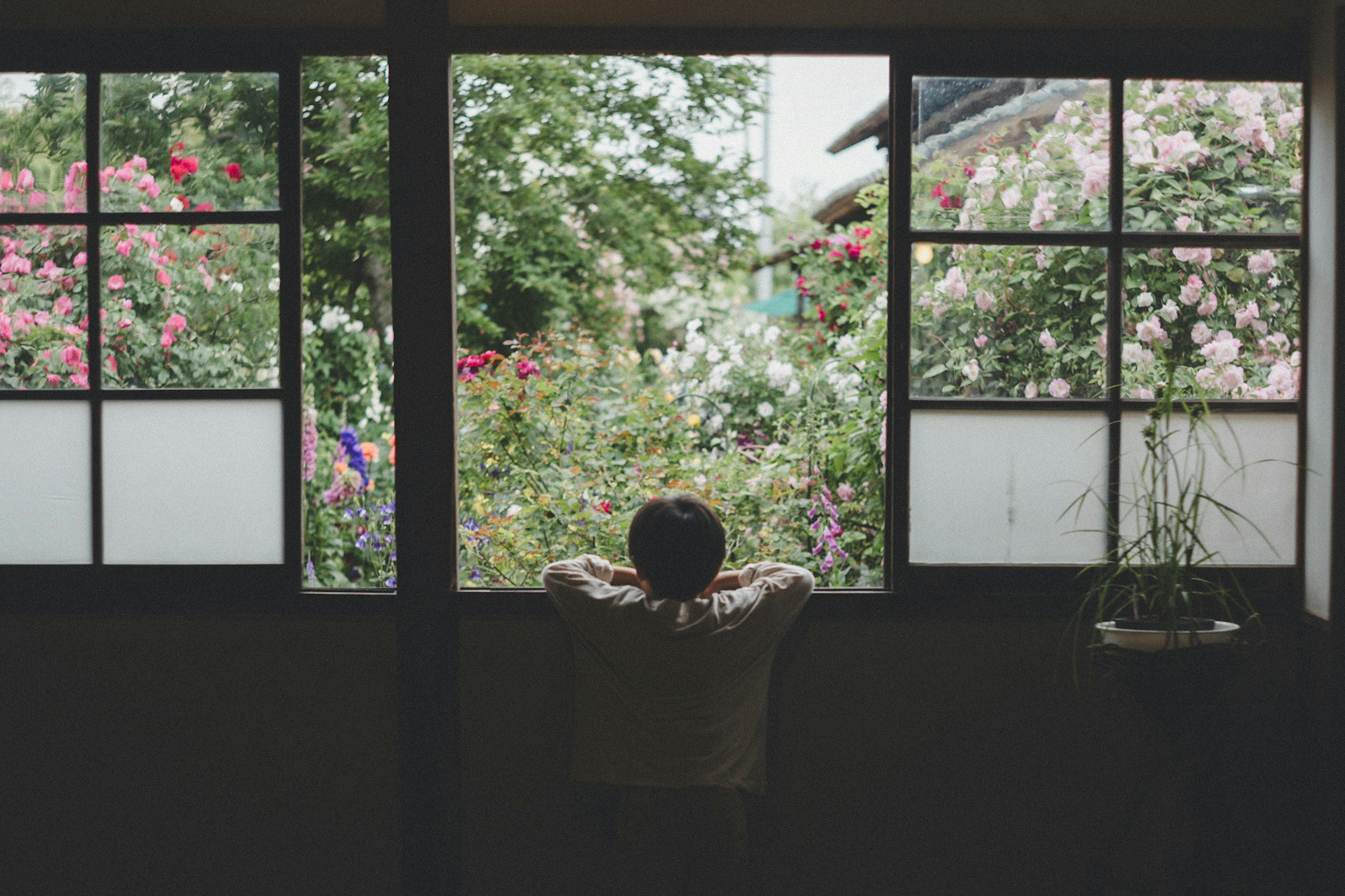 Enfant regardant par la fenêtre un jardin en fleurs