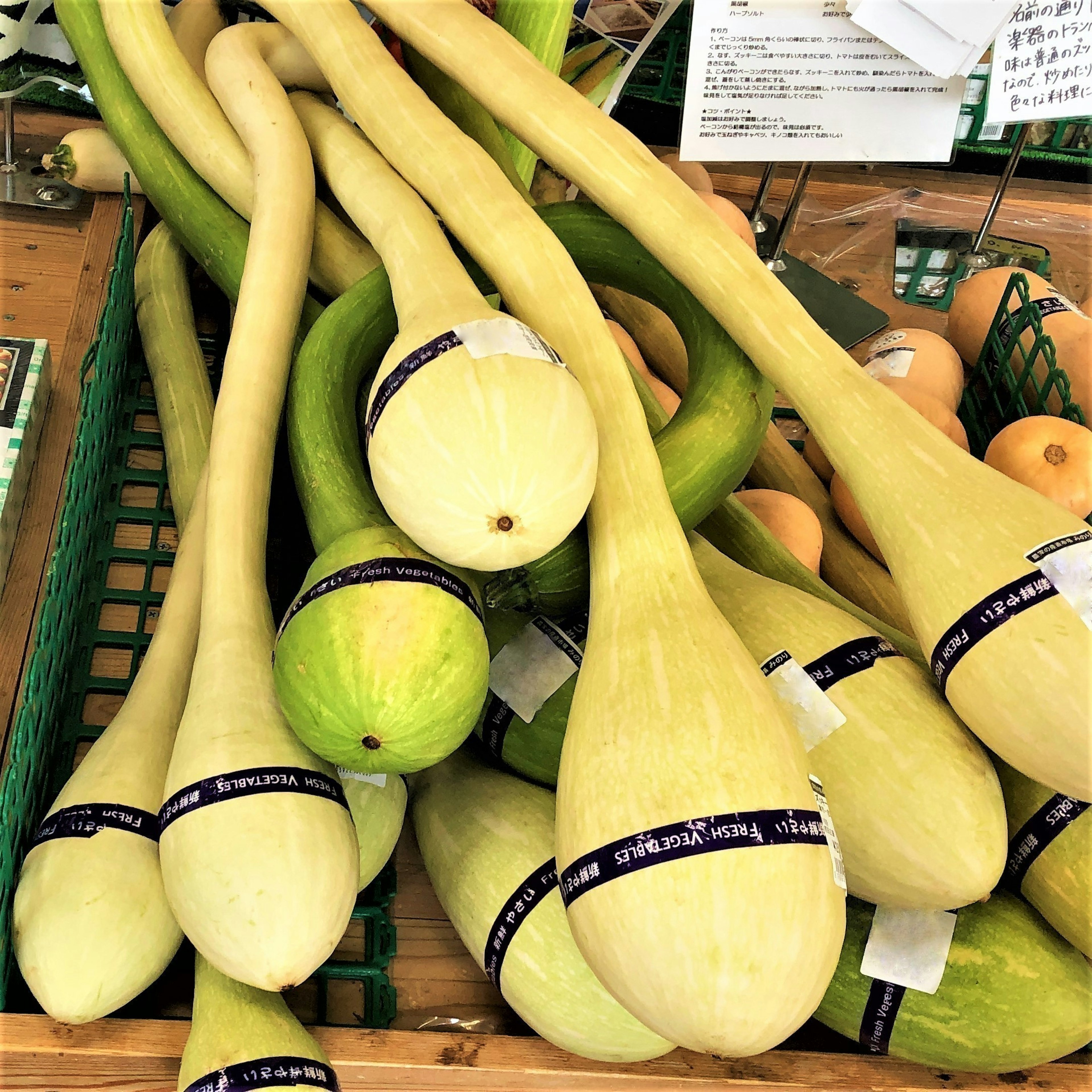 Zucchine lunghe e frutti verdi esposti in un mercato