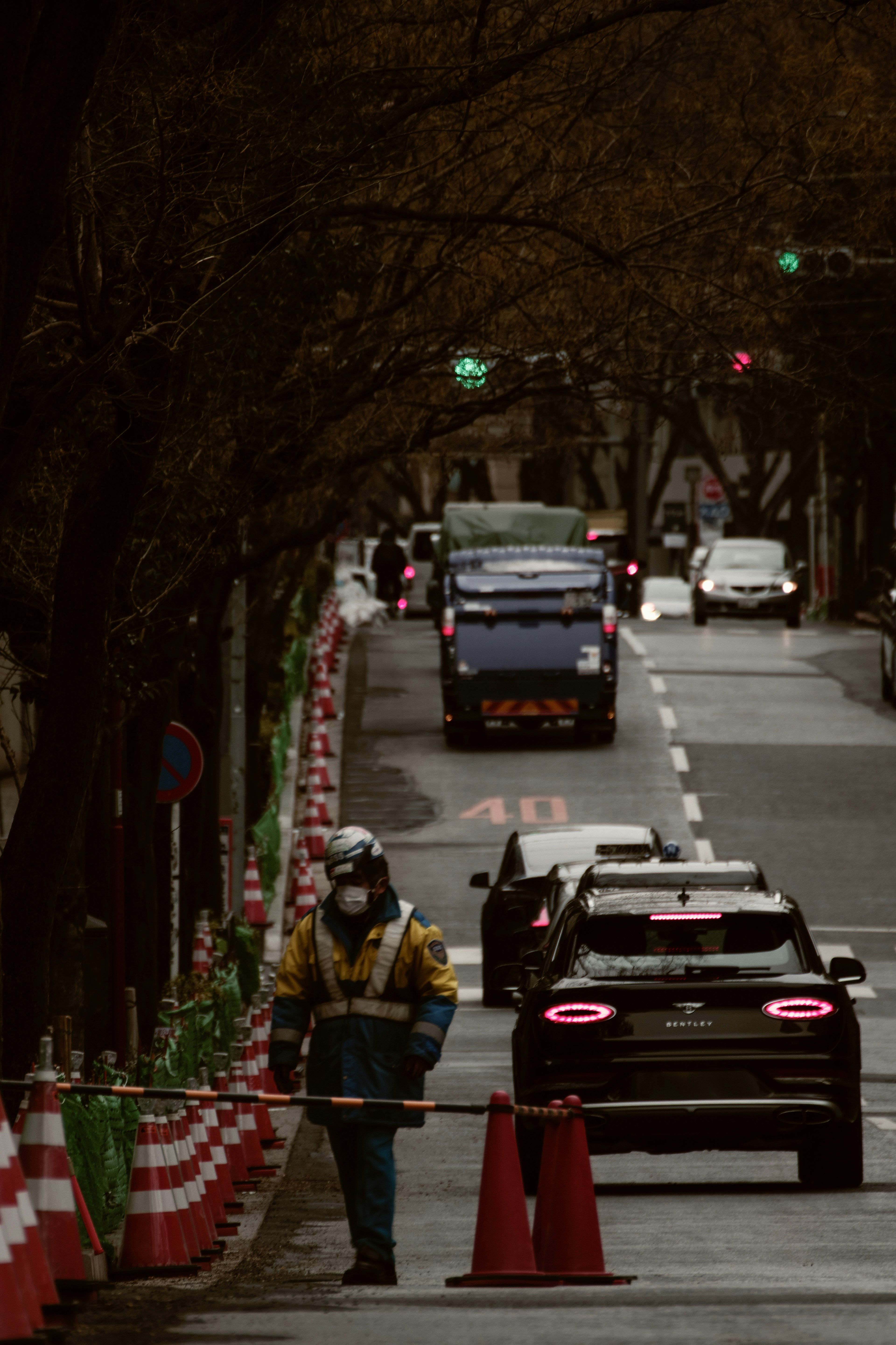 Worker managing vehicle traffic on a street with red cones