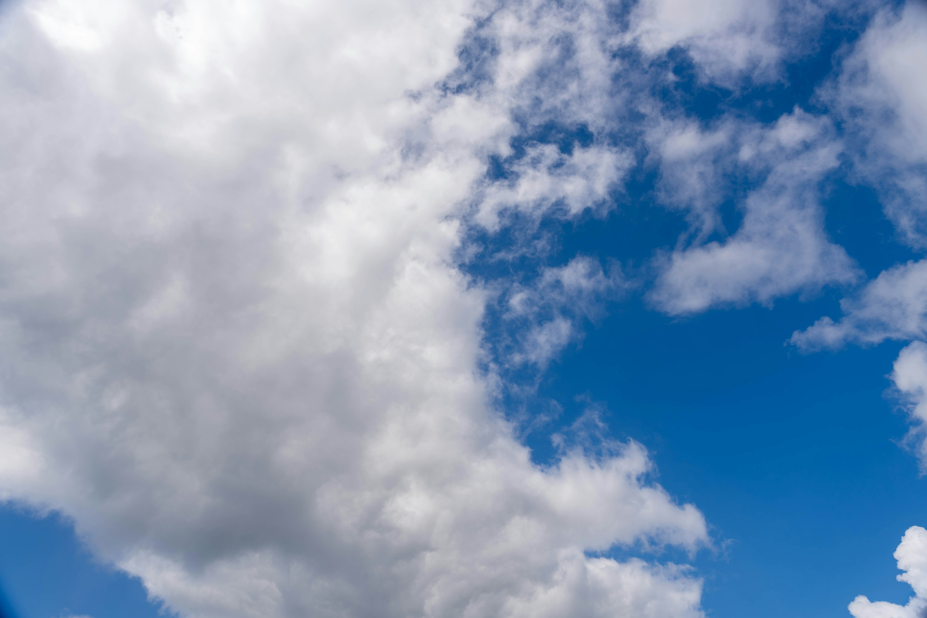 青空と白い雲が広がる風景