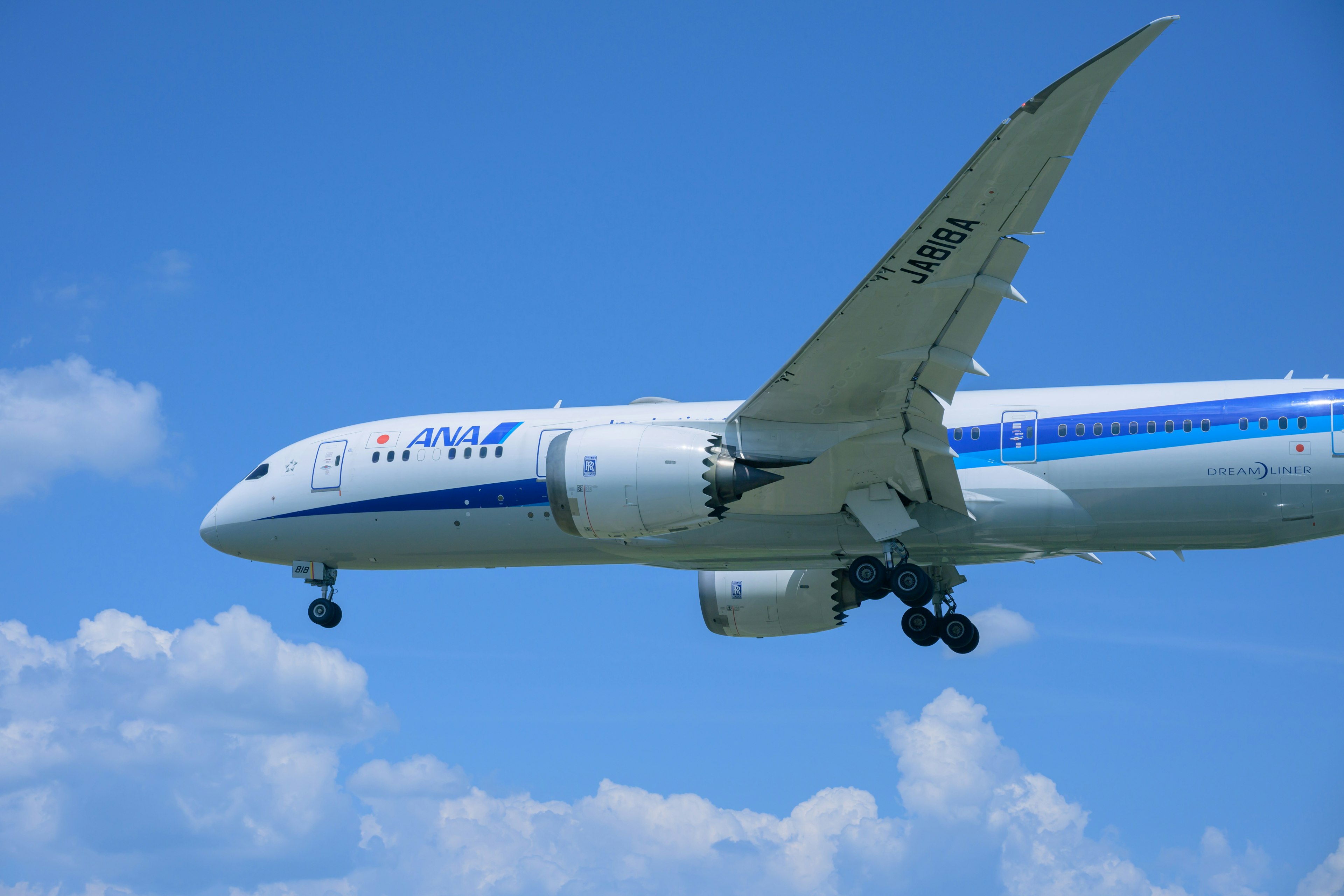 Boeing 787 của ANA bay trên nền trời xanh