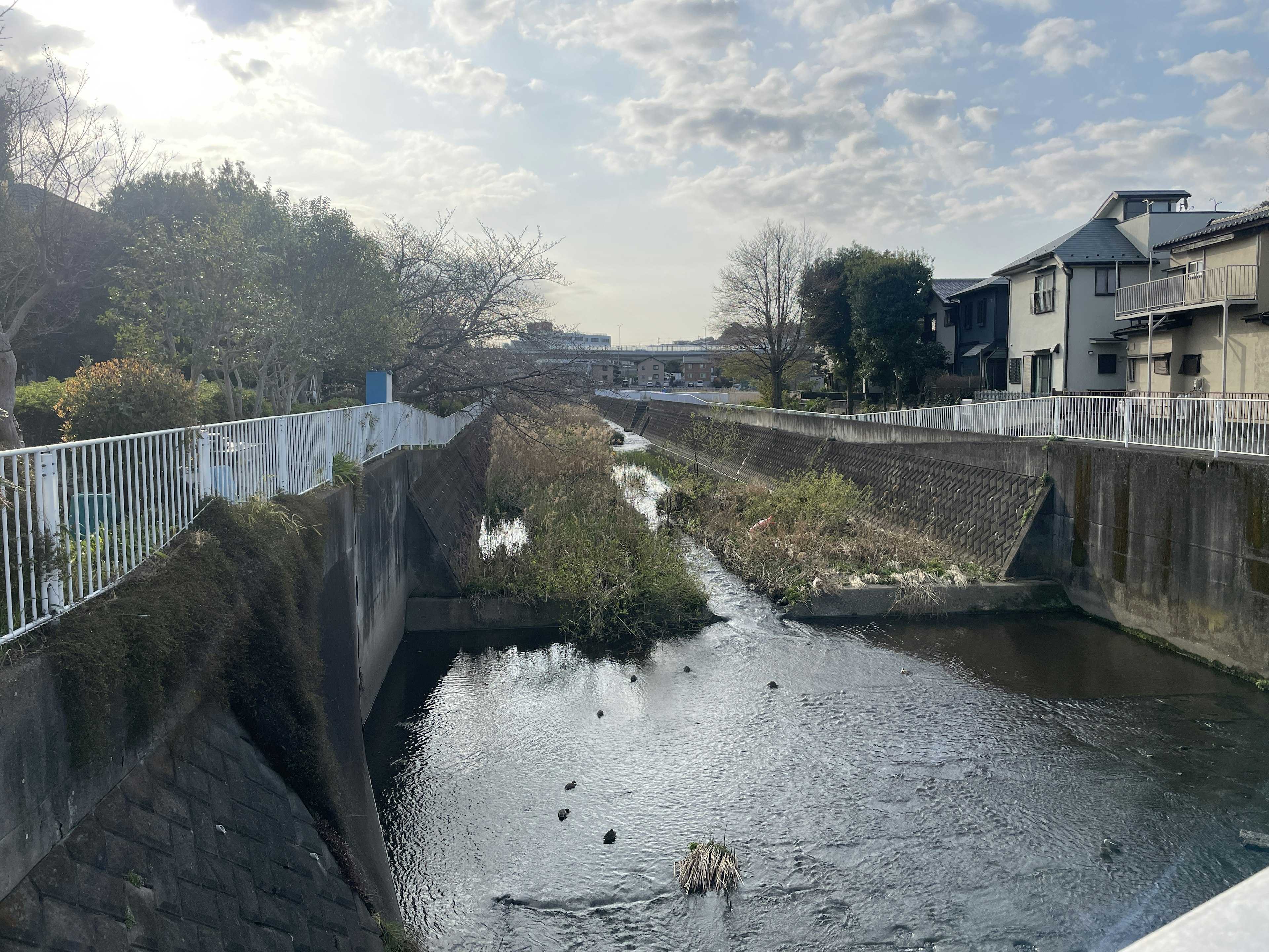 Ruhiger Fluss mit umliegenden Häusern und Grünflächen