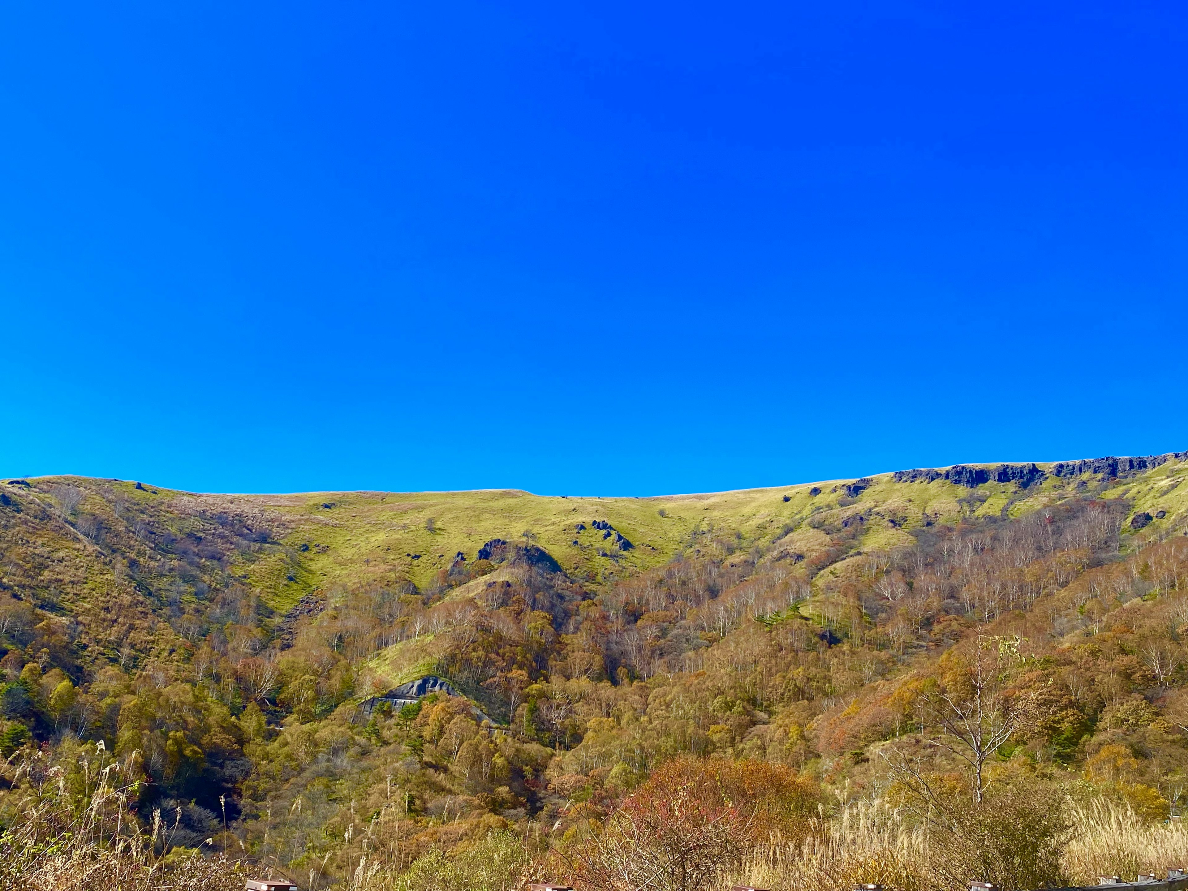 Collines vertes et arbres bruns sous un ciel bleu clair