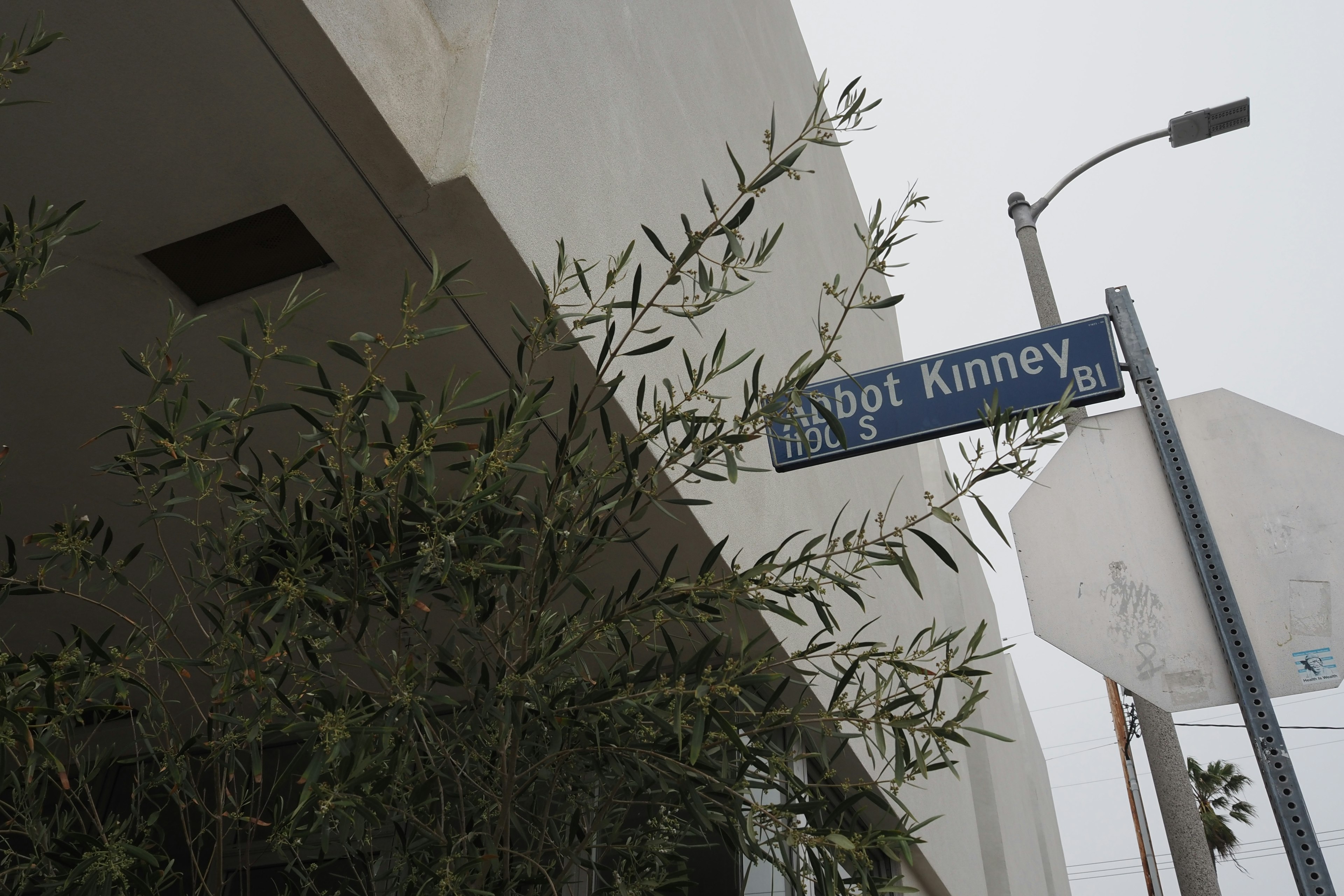 Insegna stradale Abbott Kinney con vegetazione e edificio