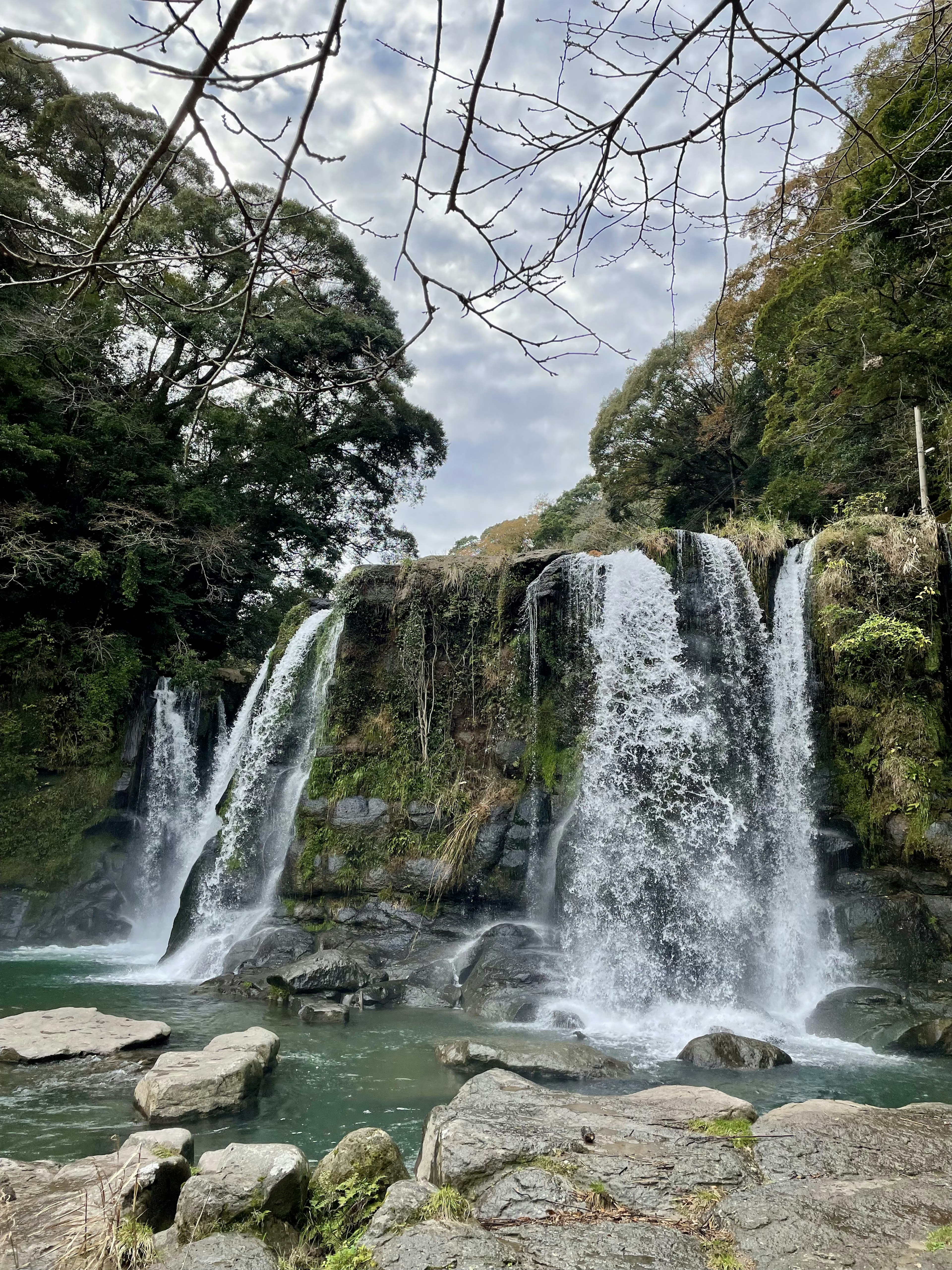 Una bella cascata circondata da una vegetazione lussureggiante e alberi