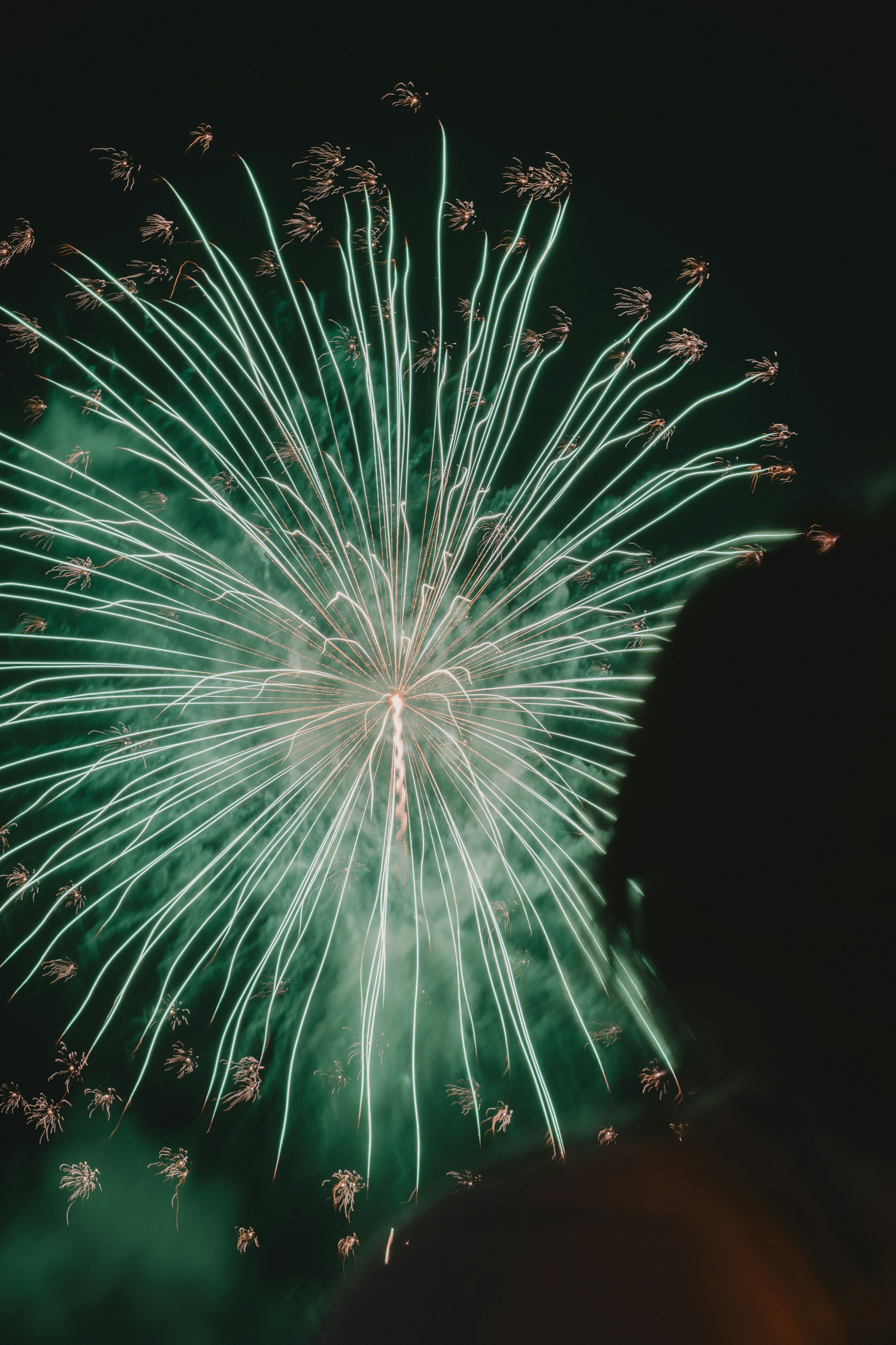 Ein lebhaftes grünes Feuerwerk, das am Nachthimmel explodiert, mit der Silhouette eines Zuschauers