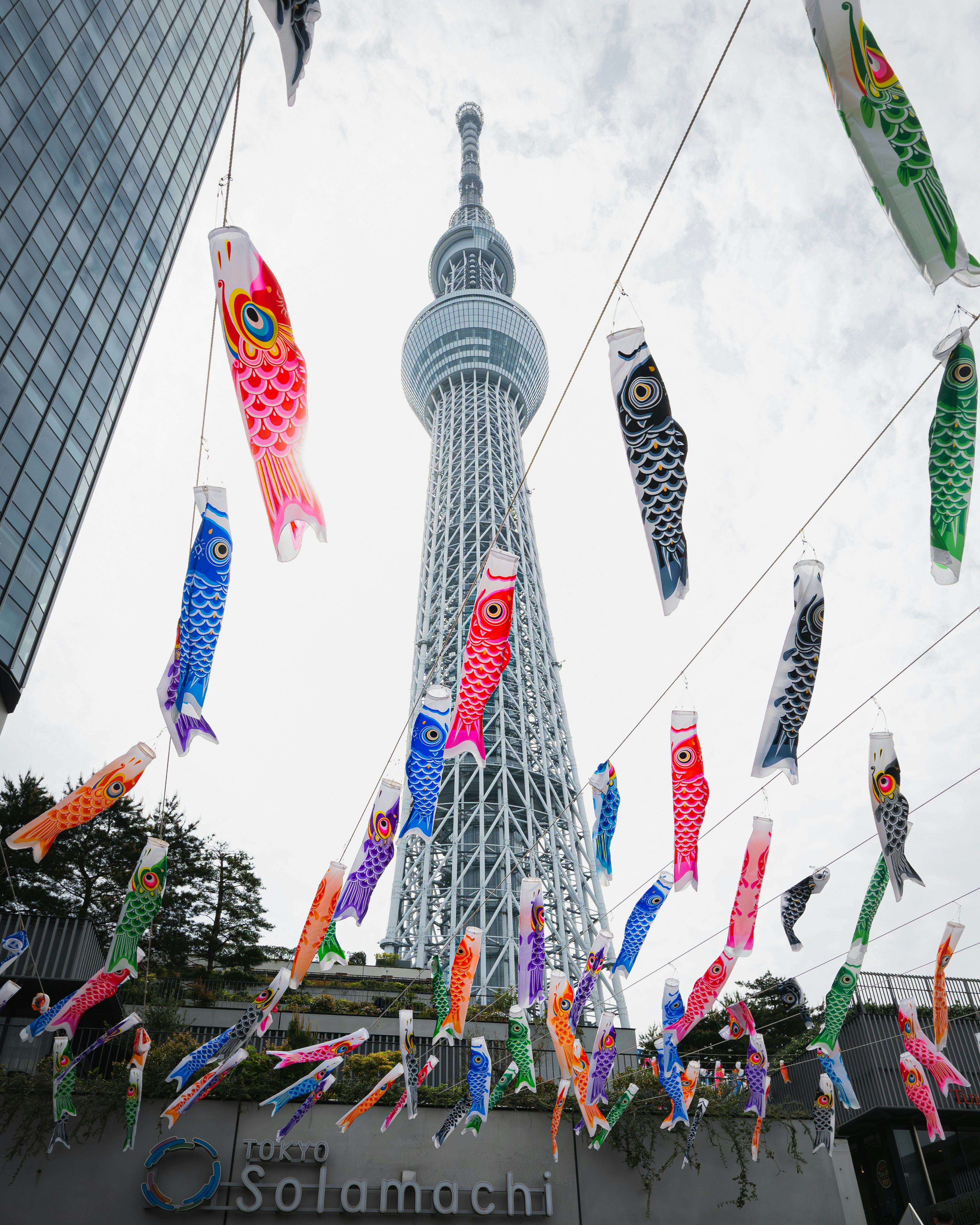 東京スカイツリーとこいのぼりが飾られた景色