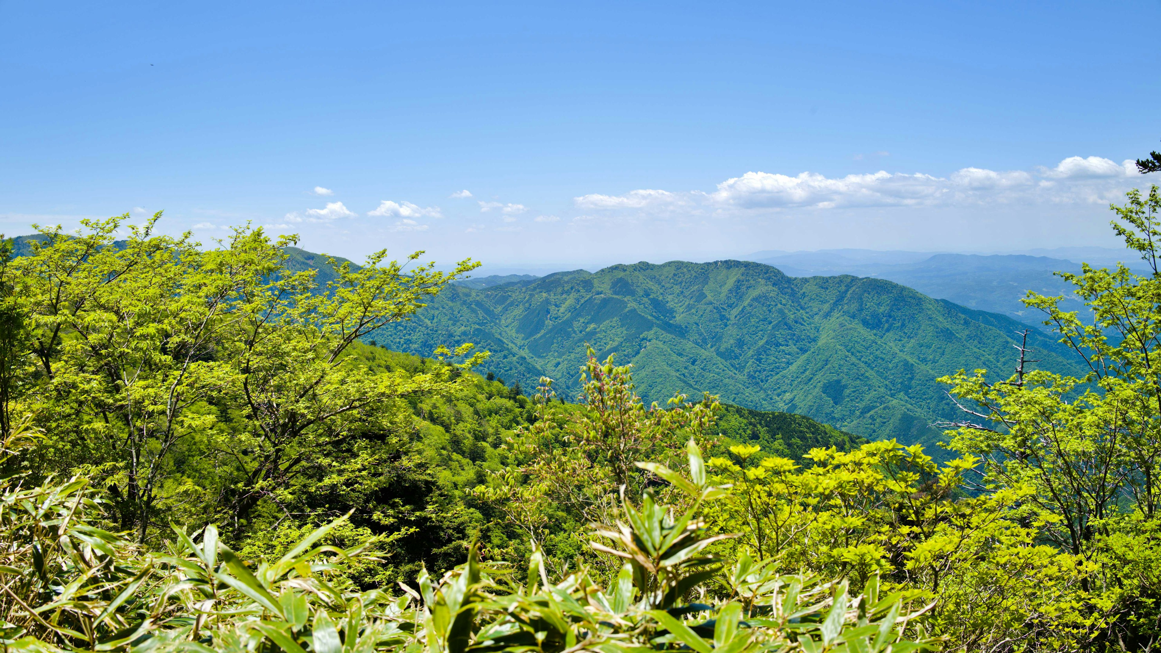 青い空と緑豊かな山々の風景