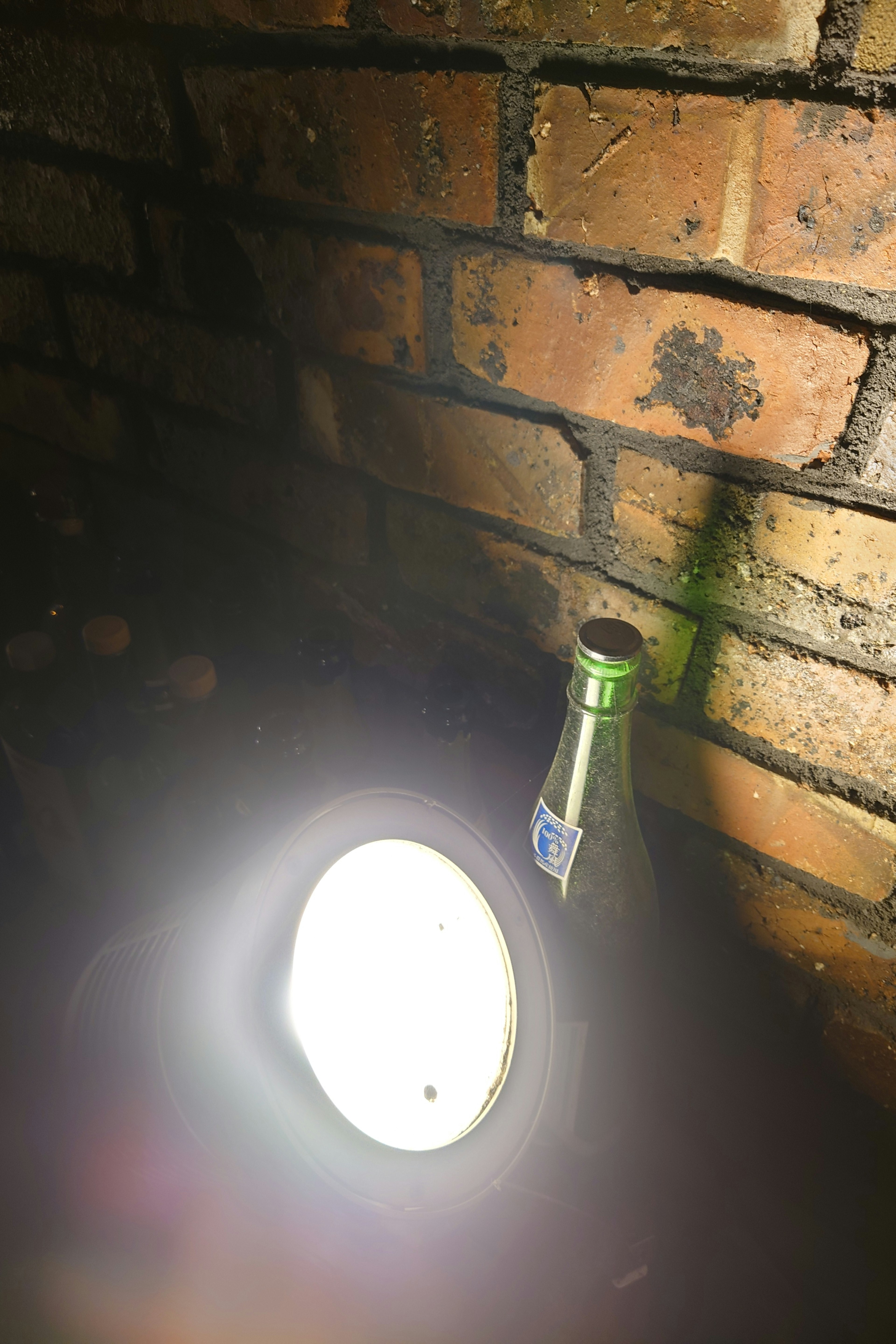 Brick wall with a bottle reflecting light