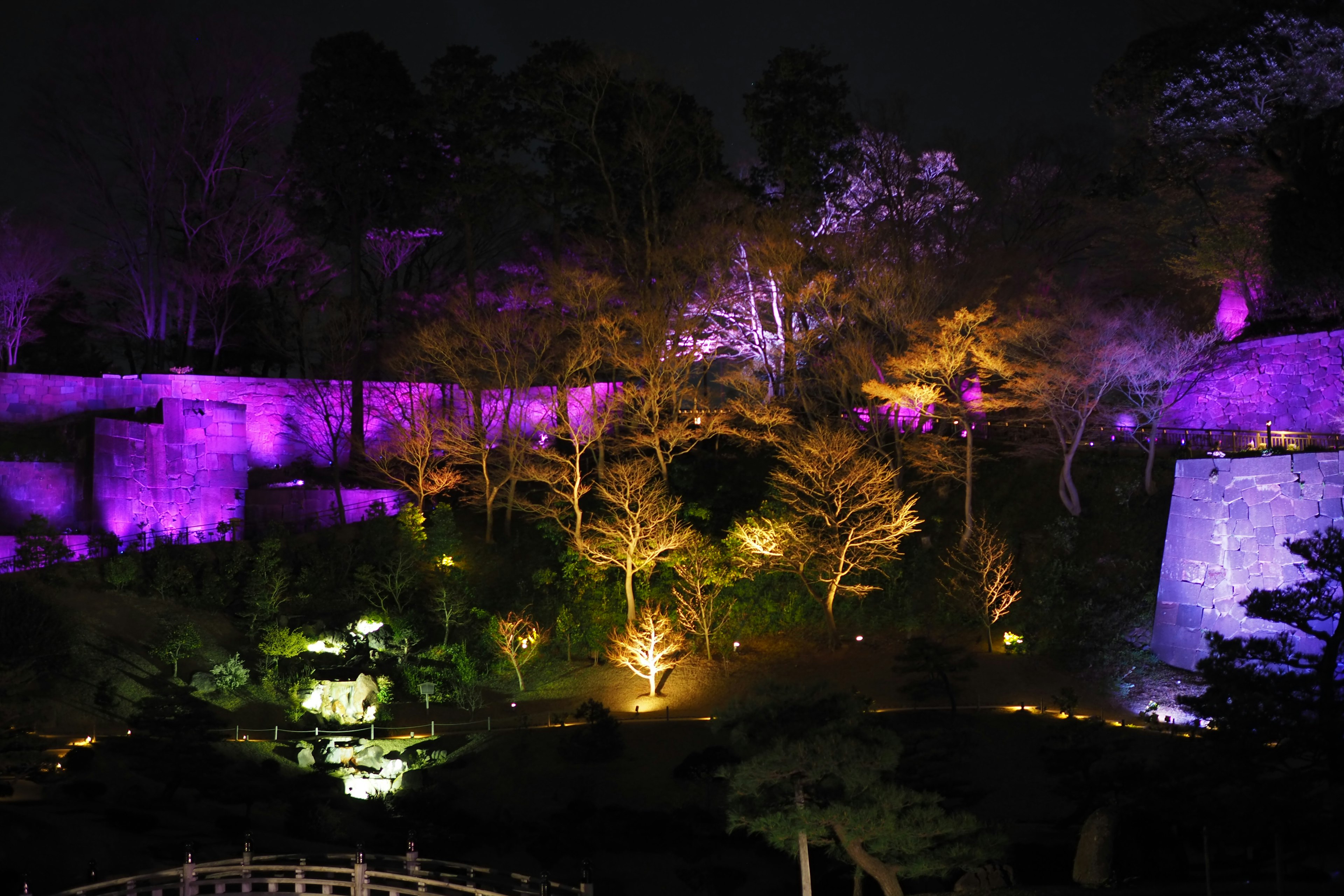 Scène magnifique d'arbres illuminés et de murs en pierre dans un jardin de nuit