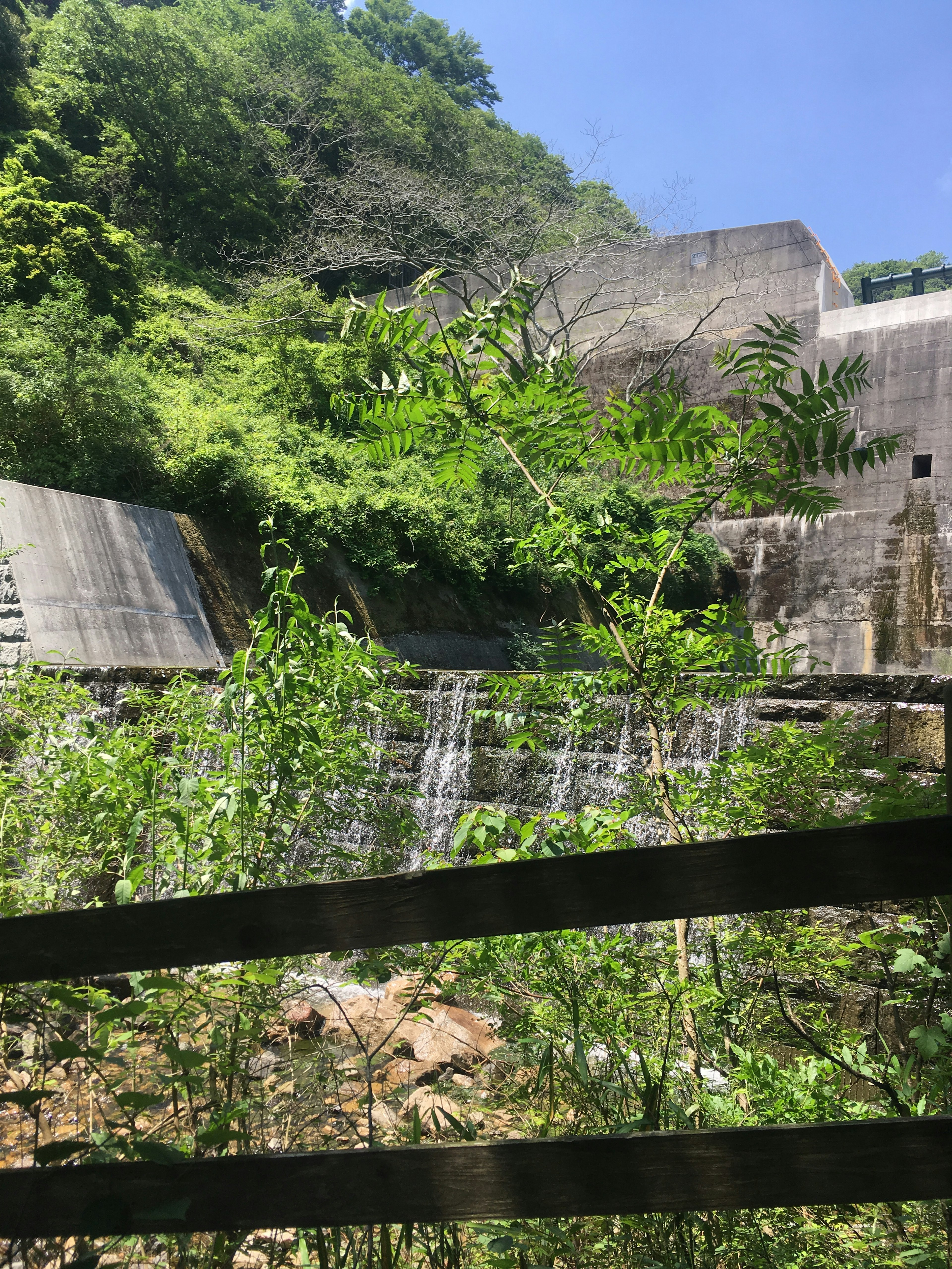 Petite cascade entourée de verdure luxuriante et d'une clôture en bois