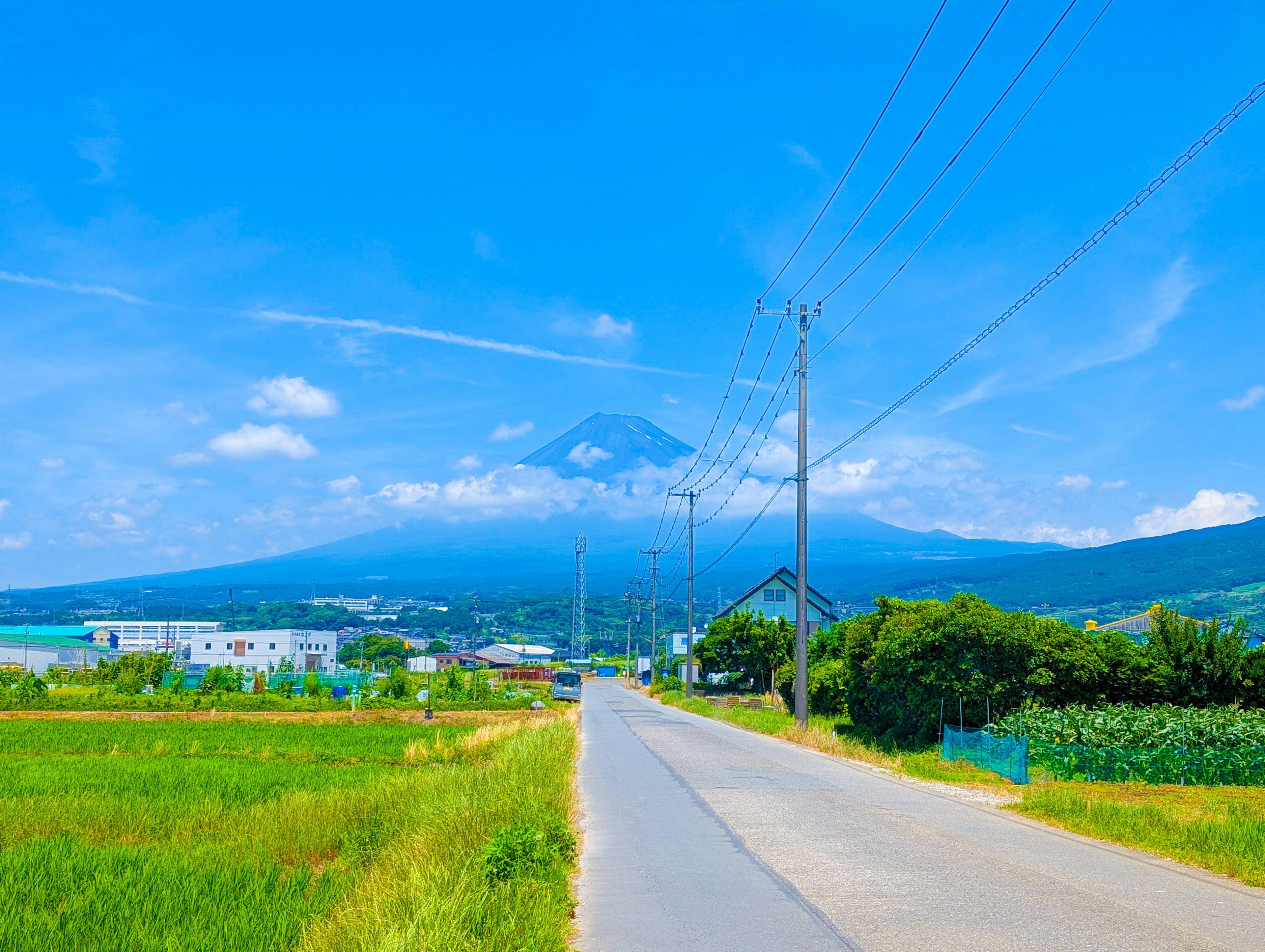 富士山在蓝天之下耸立，前景是稻田