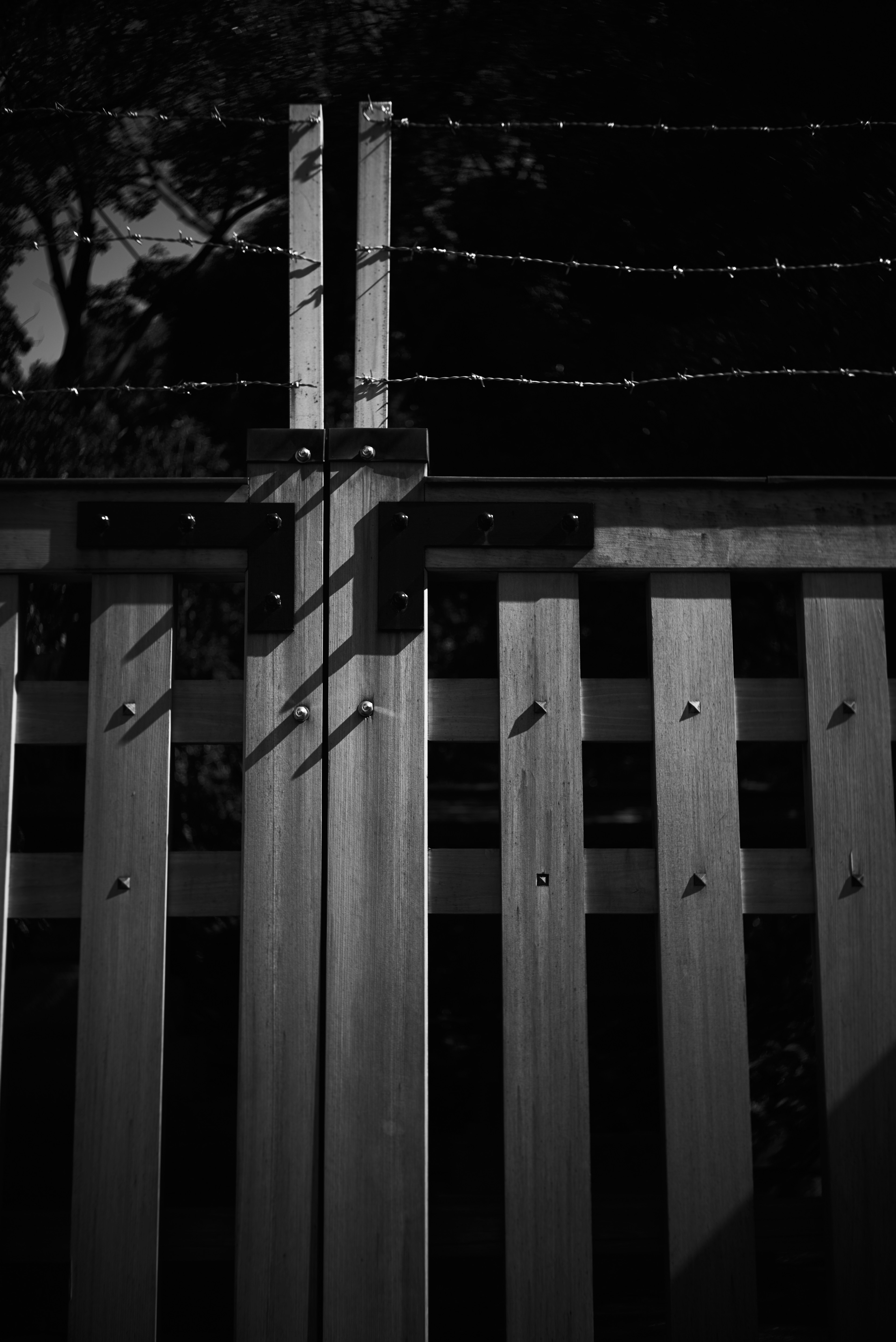 Black and white image of a fence with sharp barbed wire