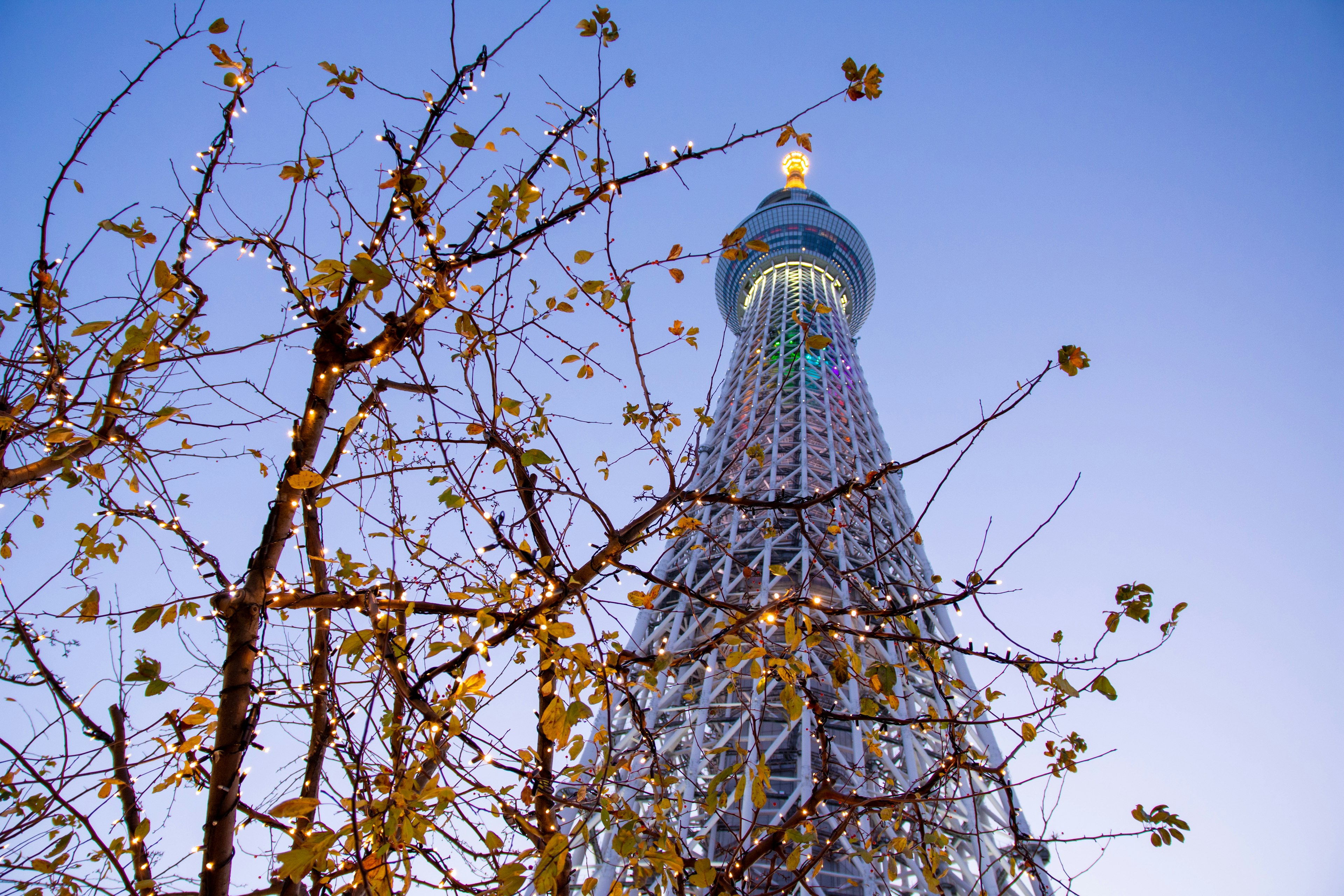 View of Tokyo Skytree with autumn trees in the foreground