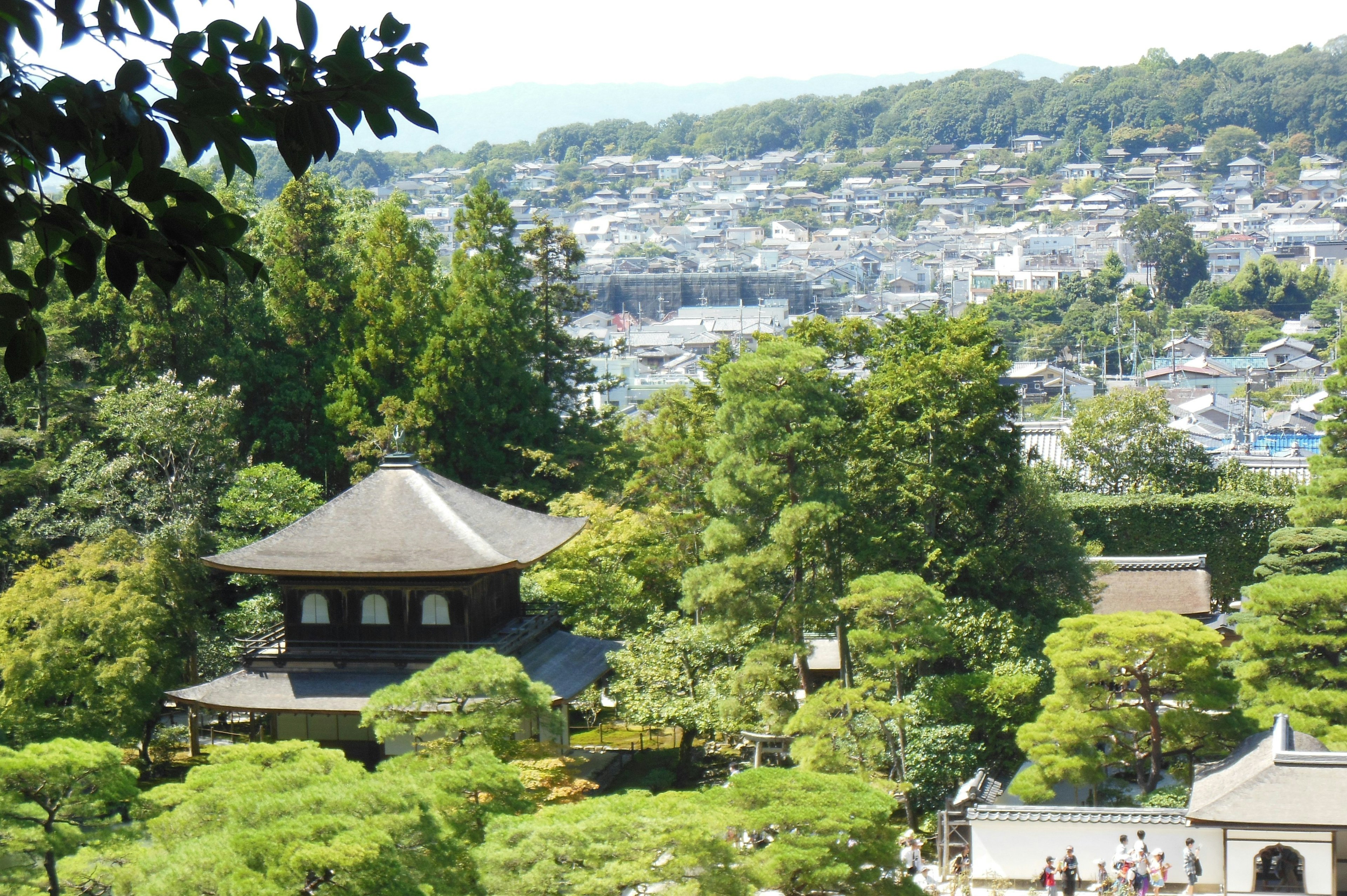 Vista panoramica del Kinkaku-ji a Kyoto con giardino lussureggiante