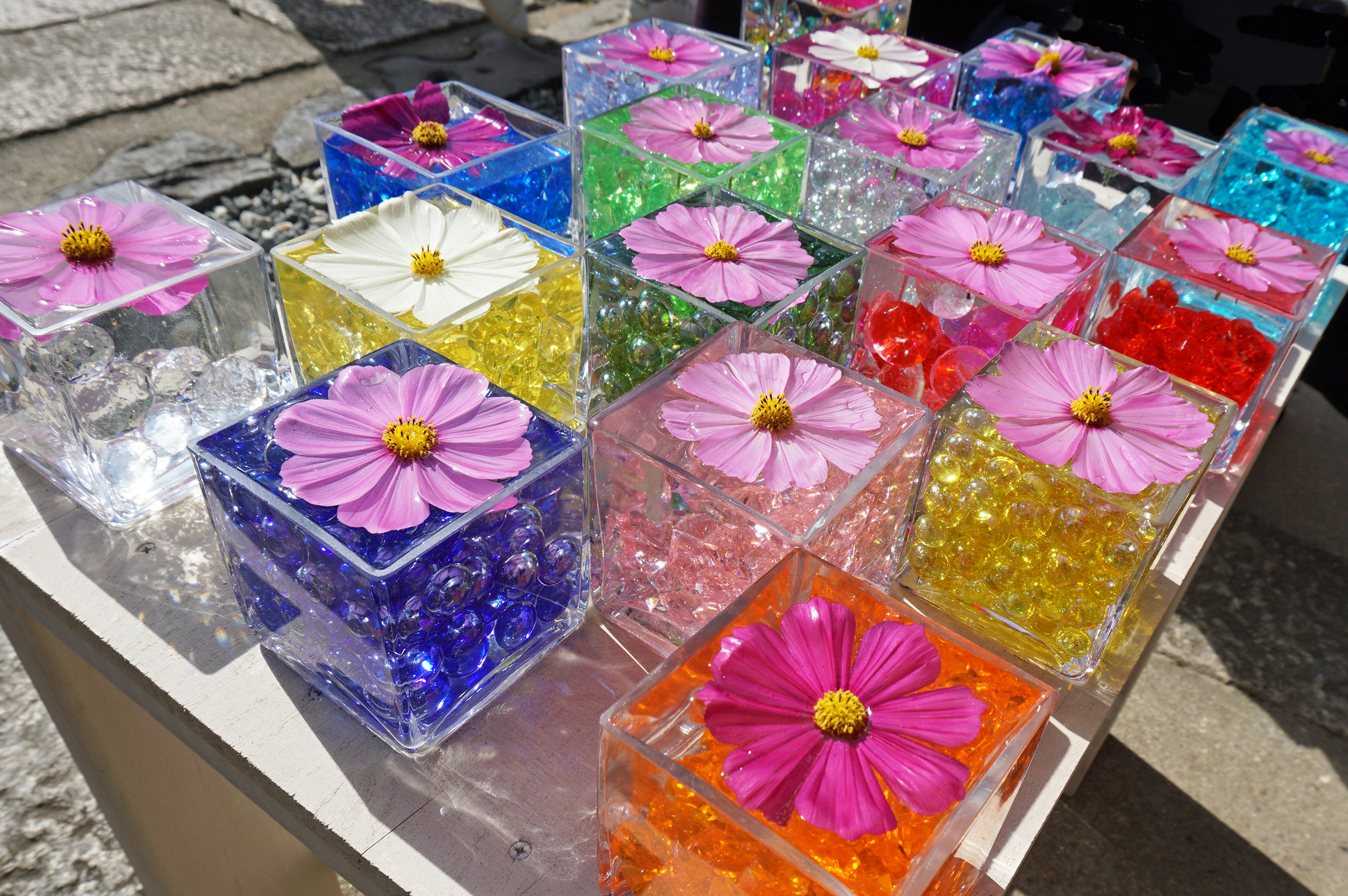 Colorful transparent boxes with flowers arranged artistically