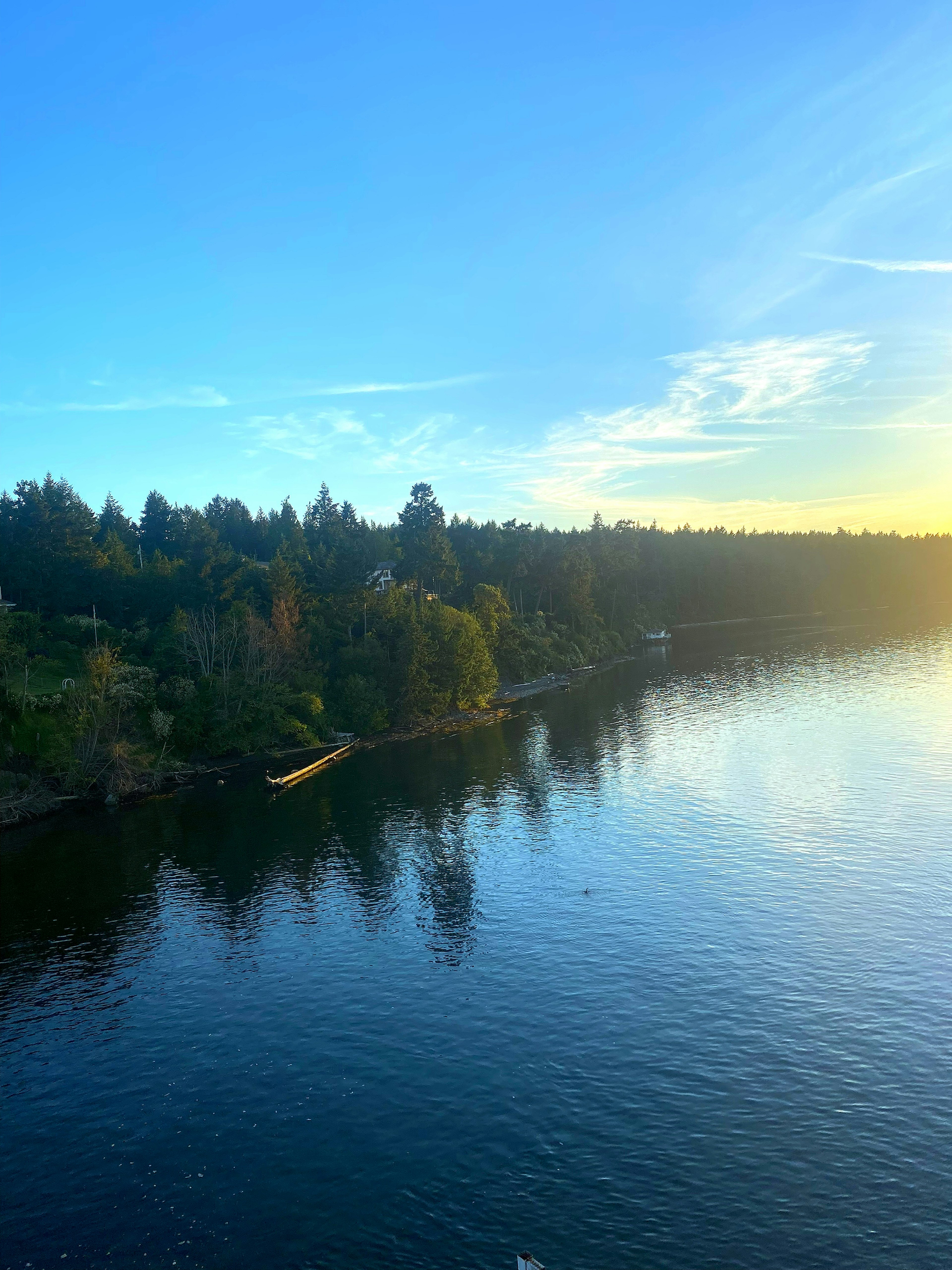 Vue pittoresque d'un lac calme sous un ciel bleu avec des reflets de coucher de soleil et des ombres de forêt