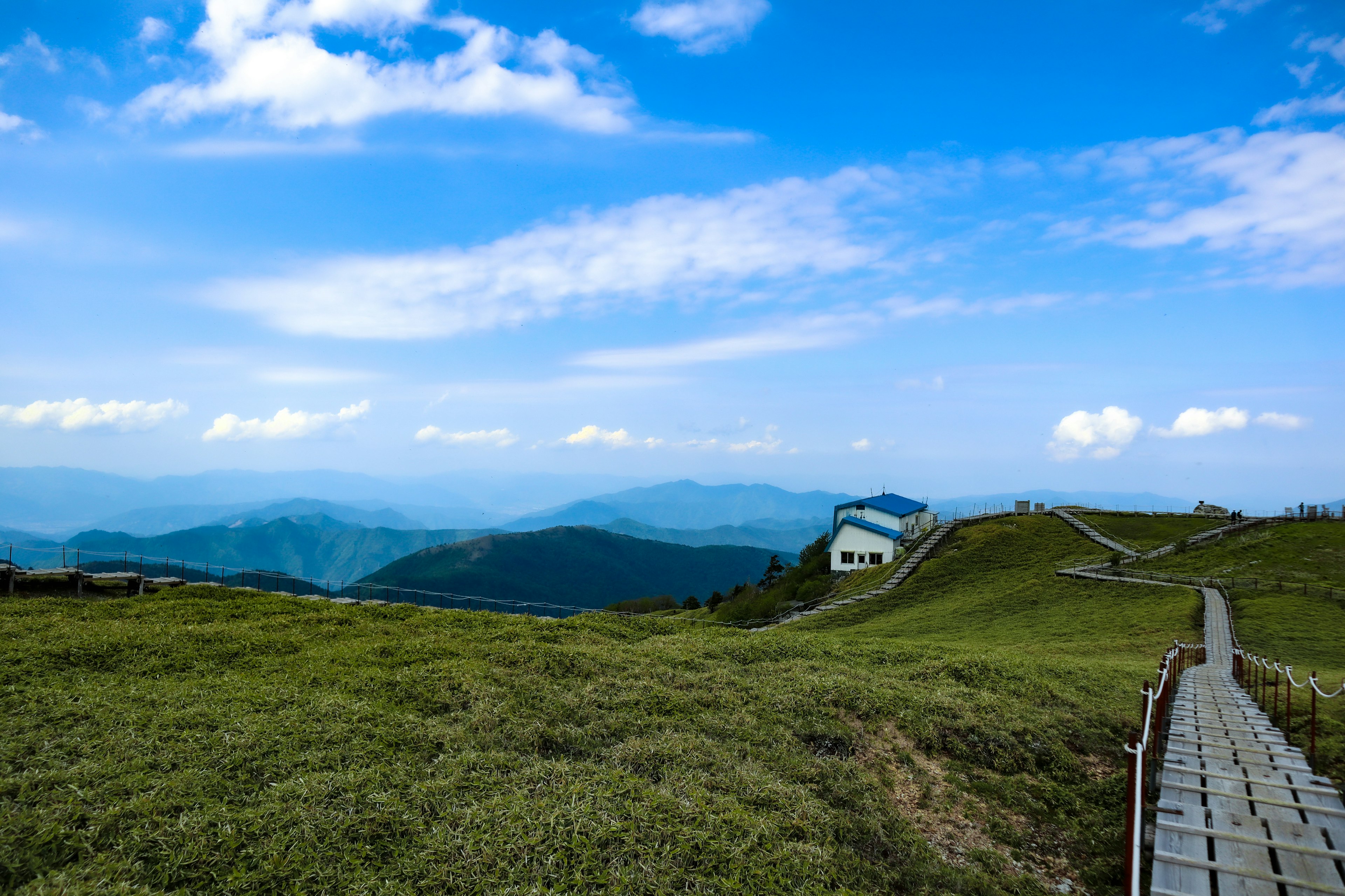 Vista panoramica di un sentiero in legno attraverso un prato verde sotto un cielo blu