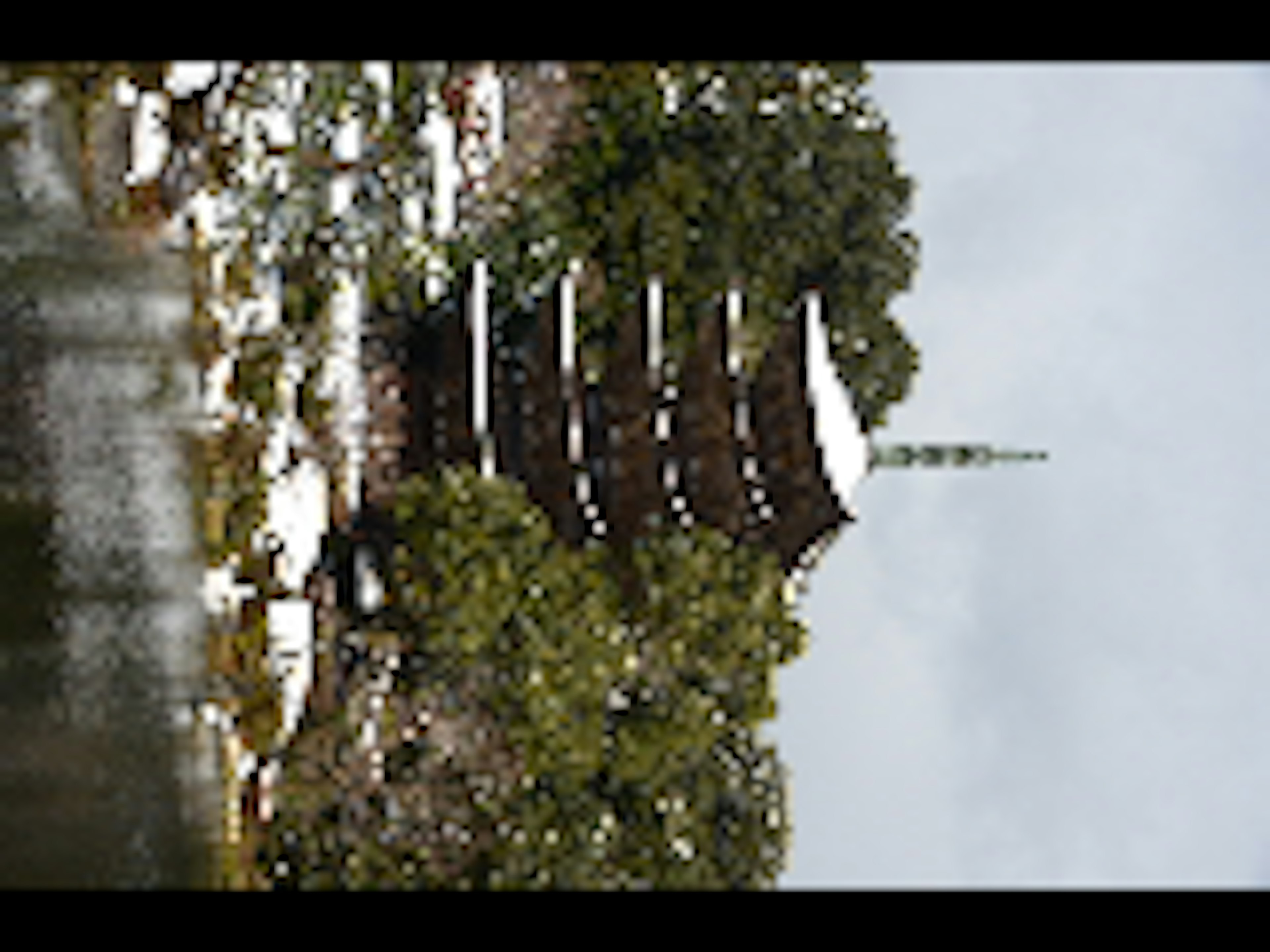 Snow-covered pagoda surrounded by green trees