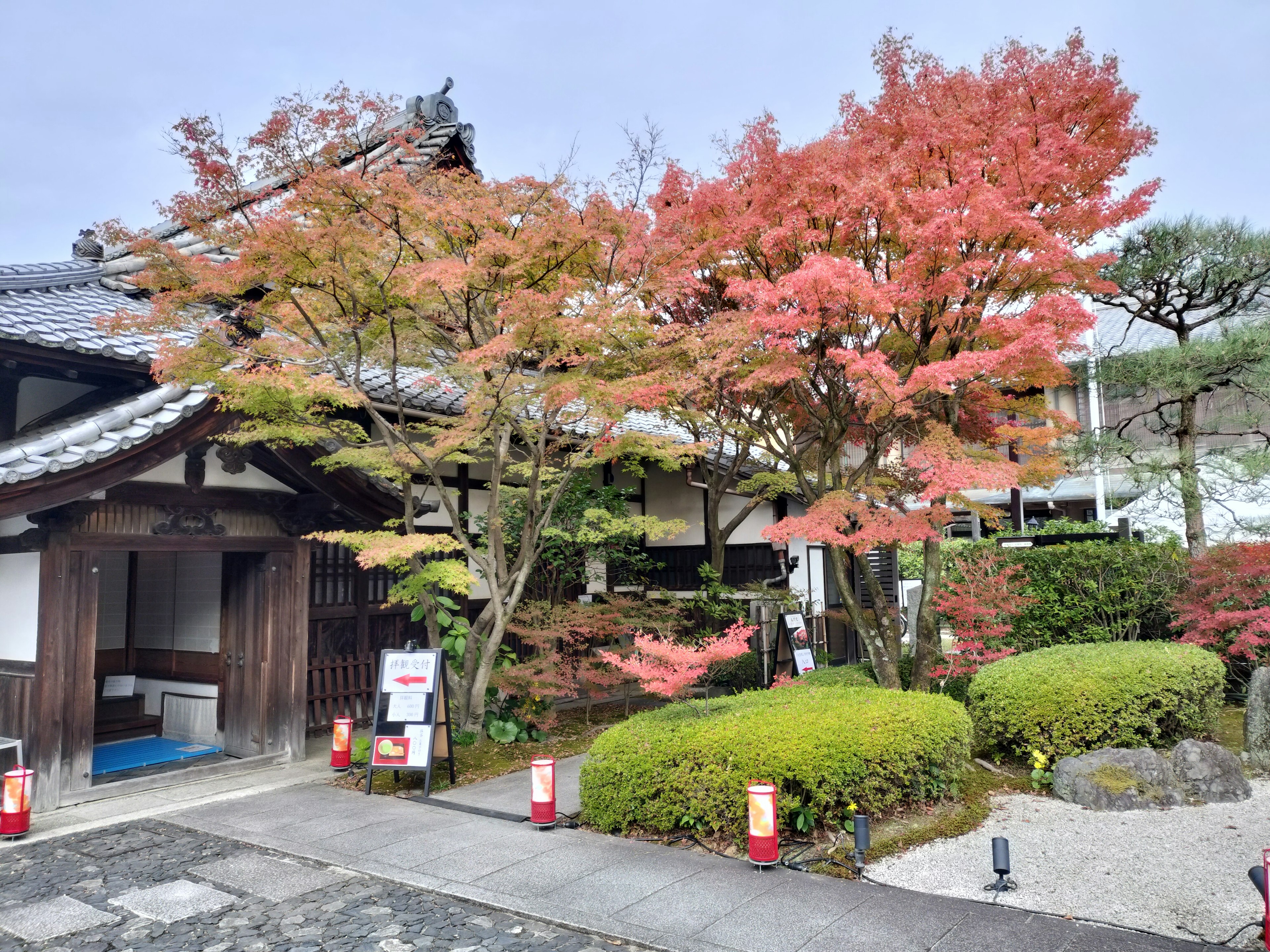 一個風景如畫的花園，擁有生動的秋季樹葉和傳統的日本建築