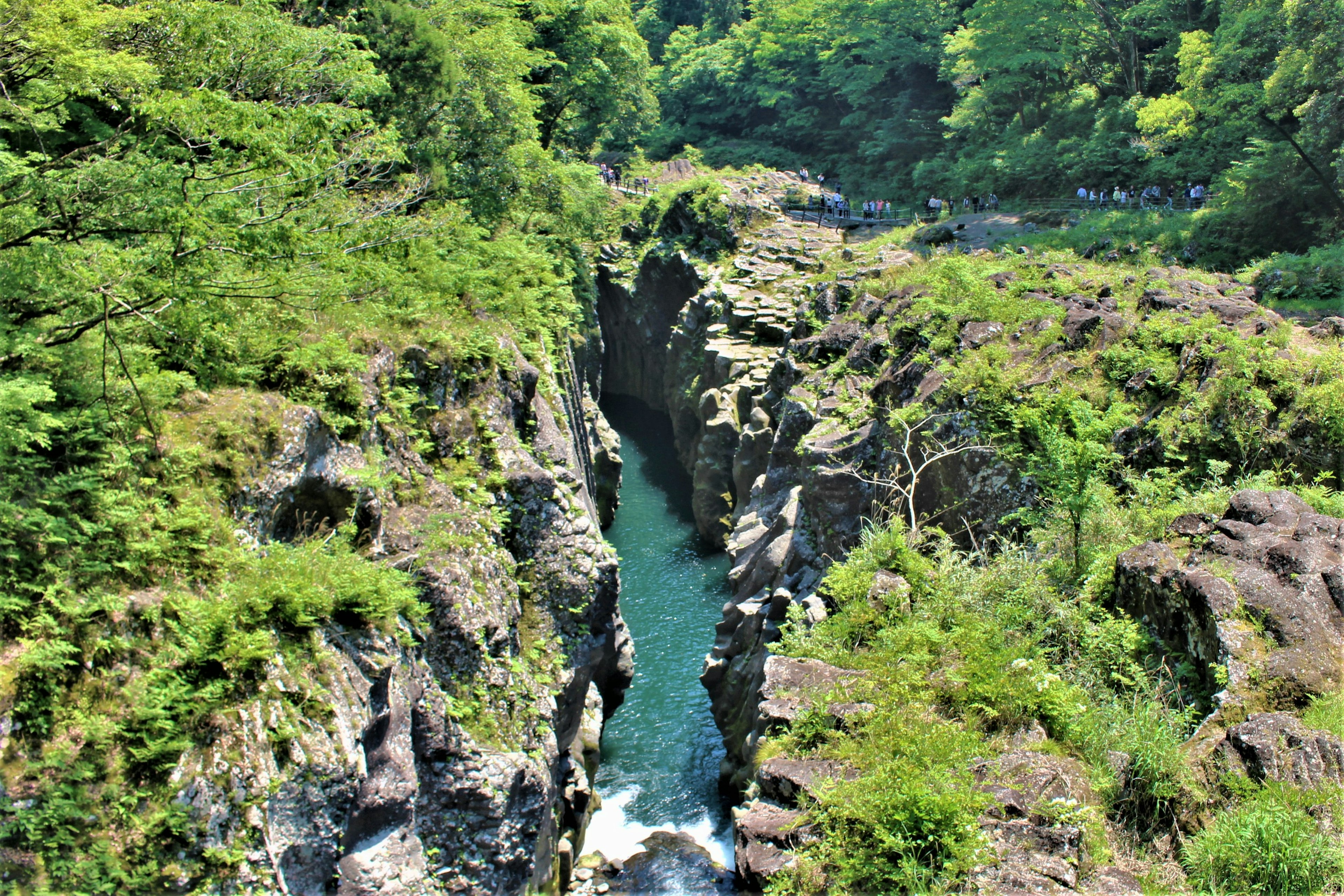 Gorge étroite entourée de verdure luxuriante et d'eau qui coule