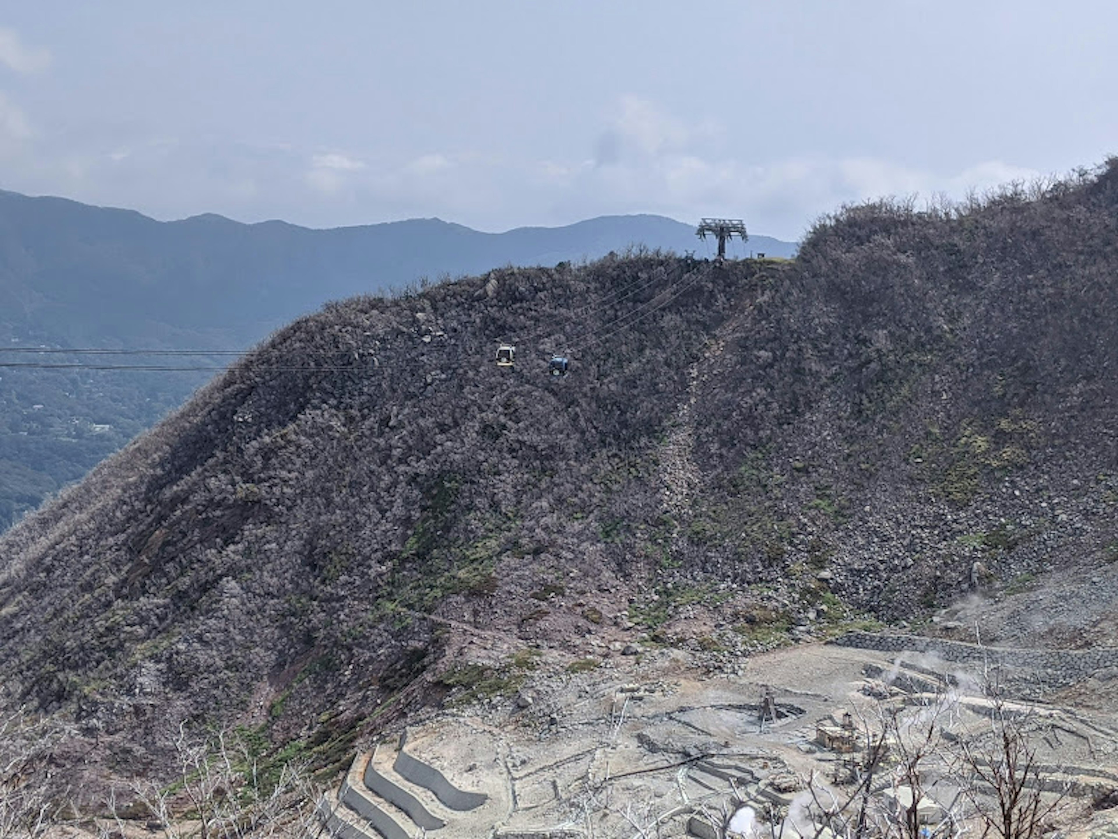 Ladera quemada con árboles secos y montañas distantes