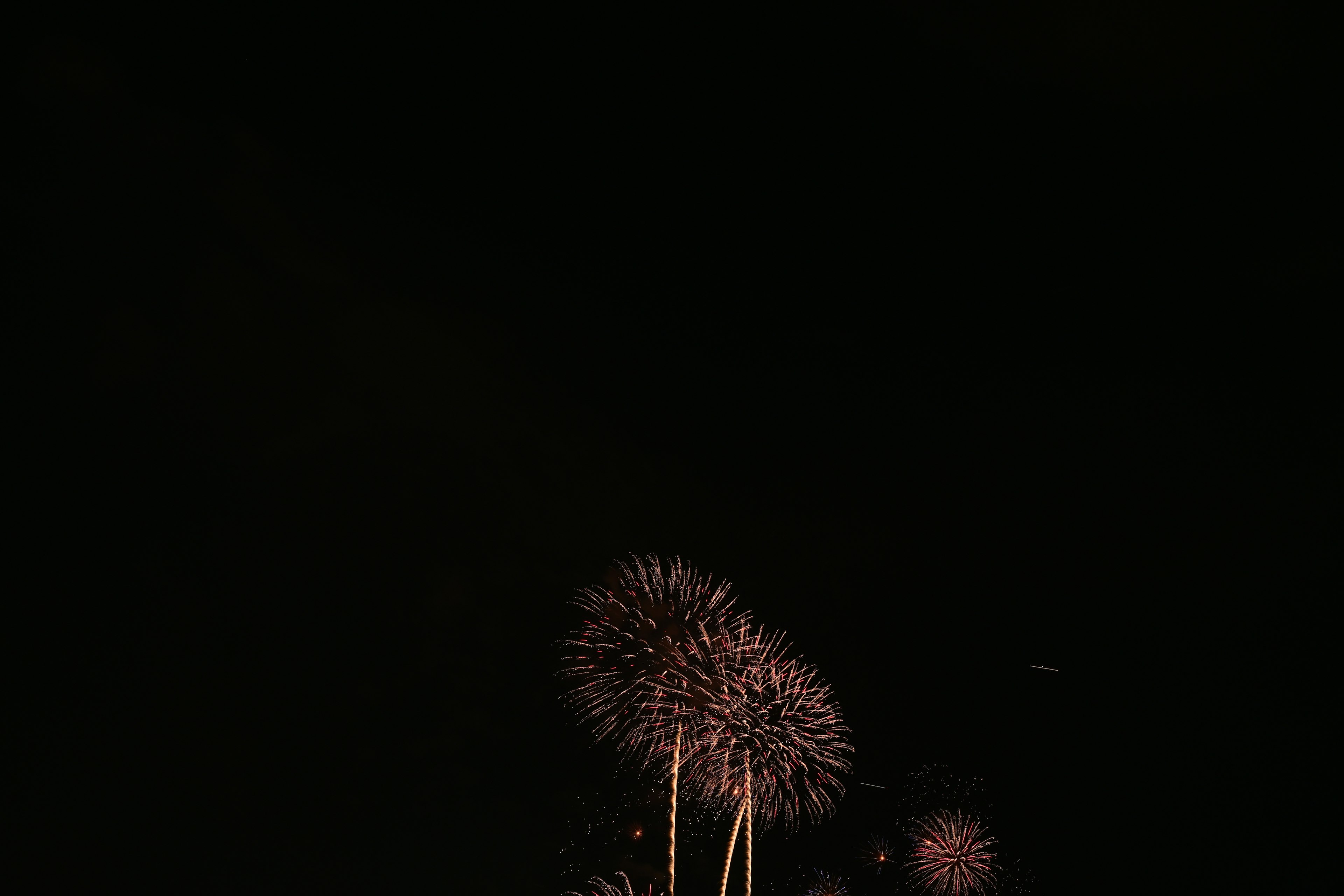 Gros feux d'artifice éclatant dans le ciel nocturne