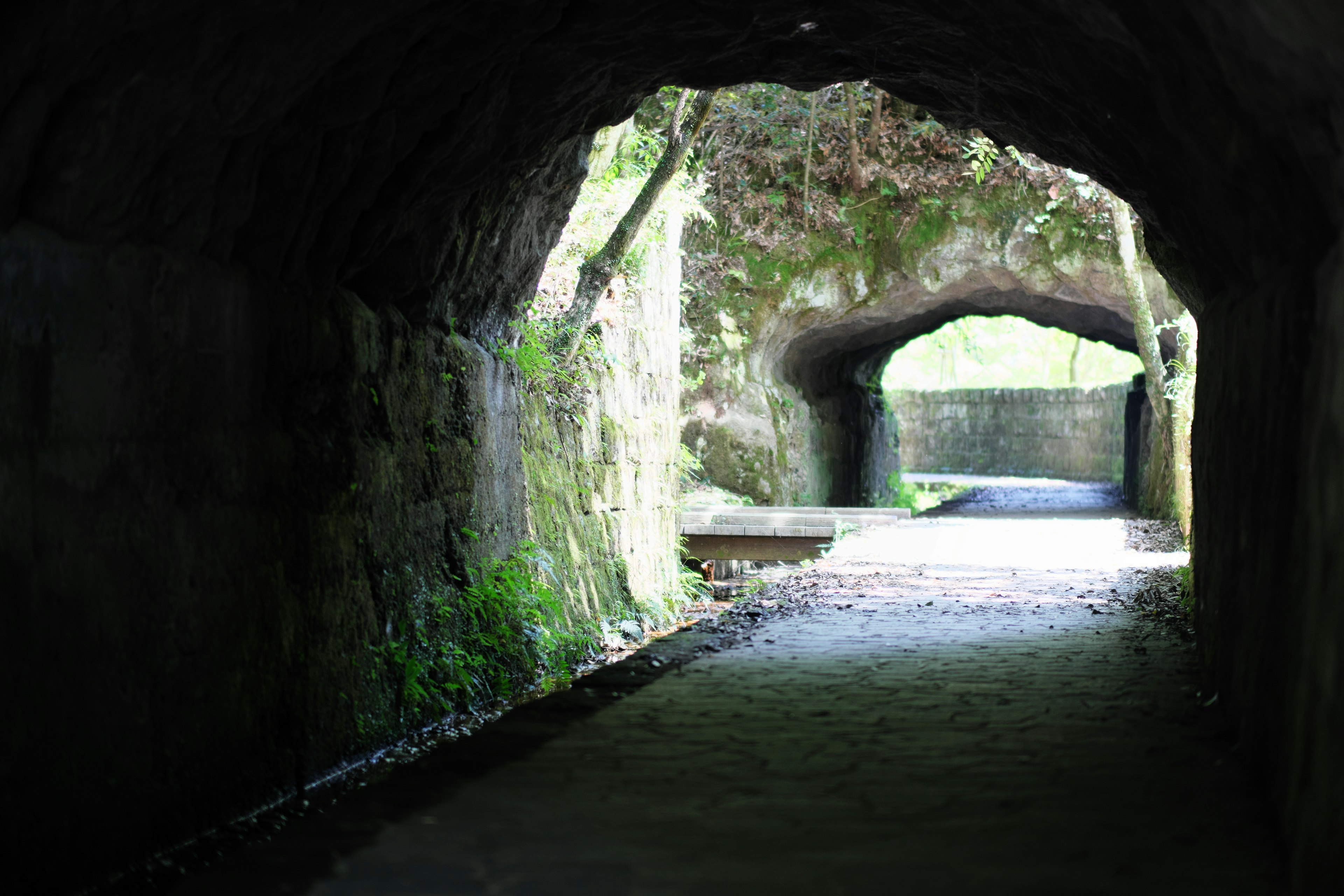 Vista interior de un túnel cubierto de vegetación con un camino que conduce a dos aberturas en arco