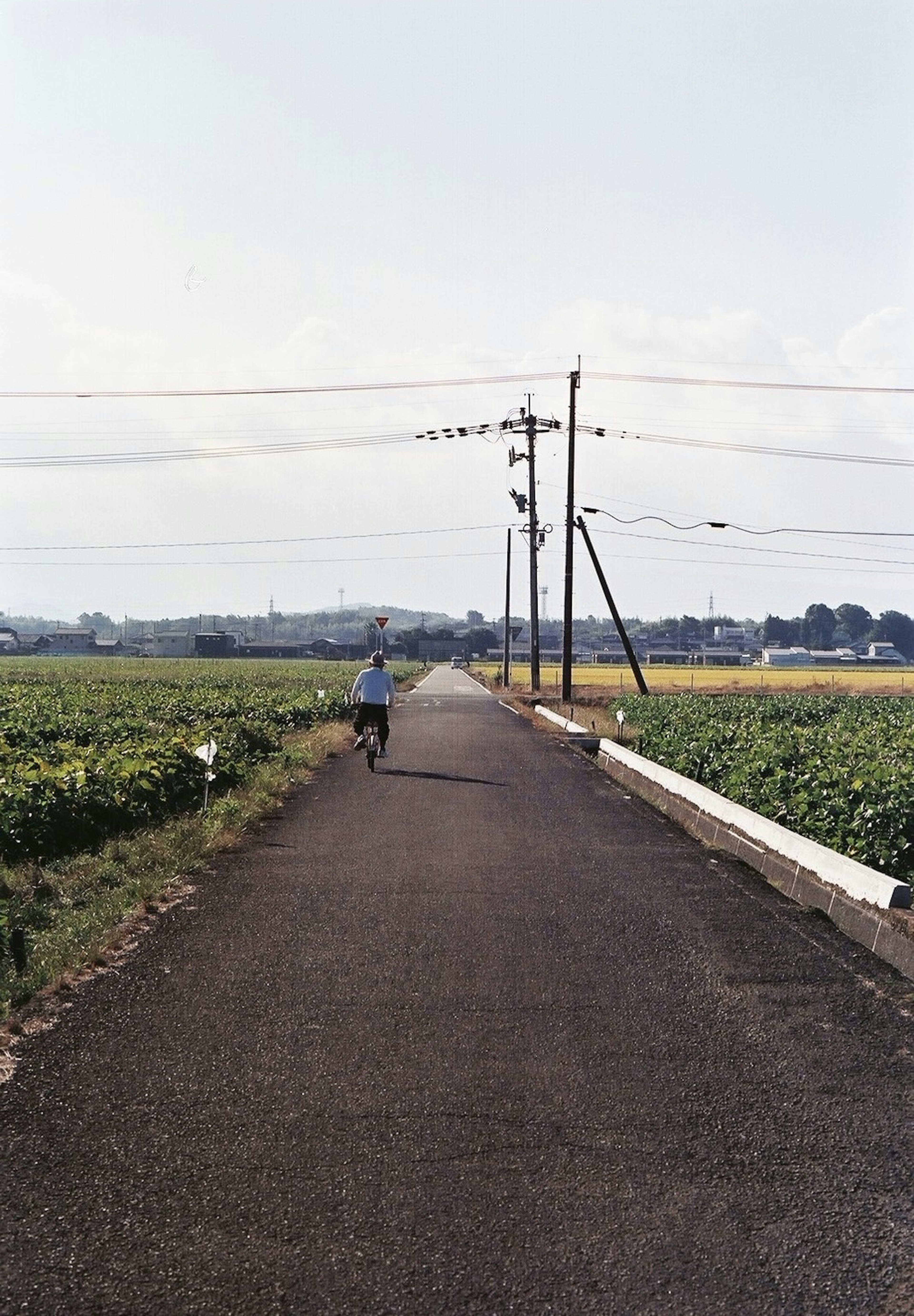 A person running on a wide path with fields on both sides