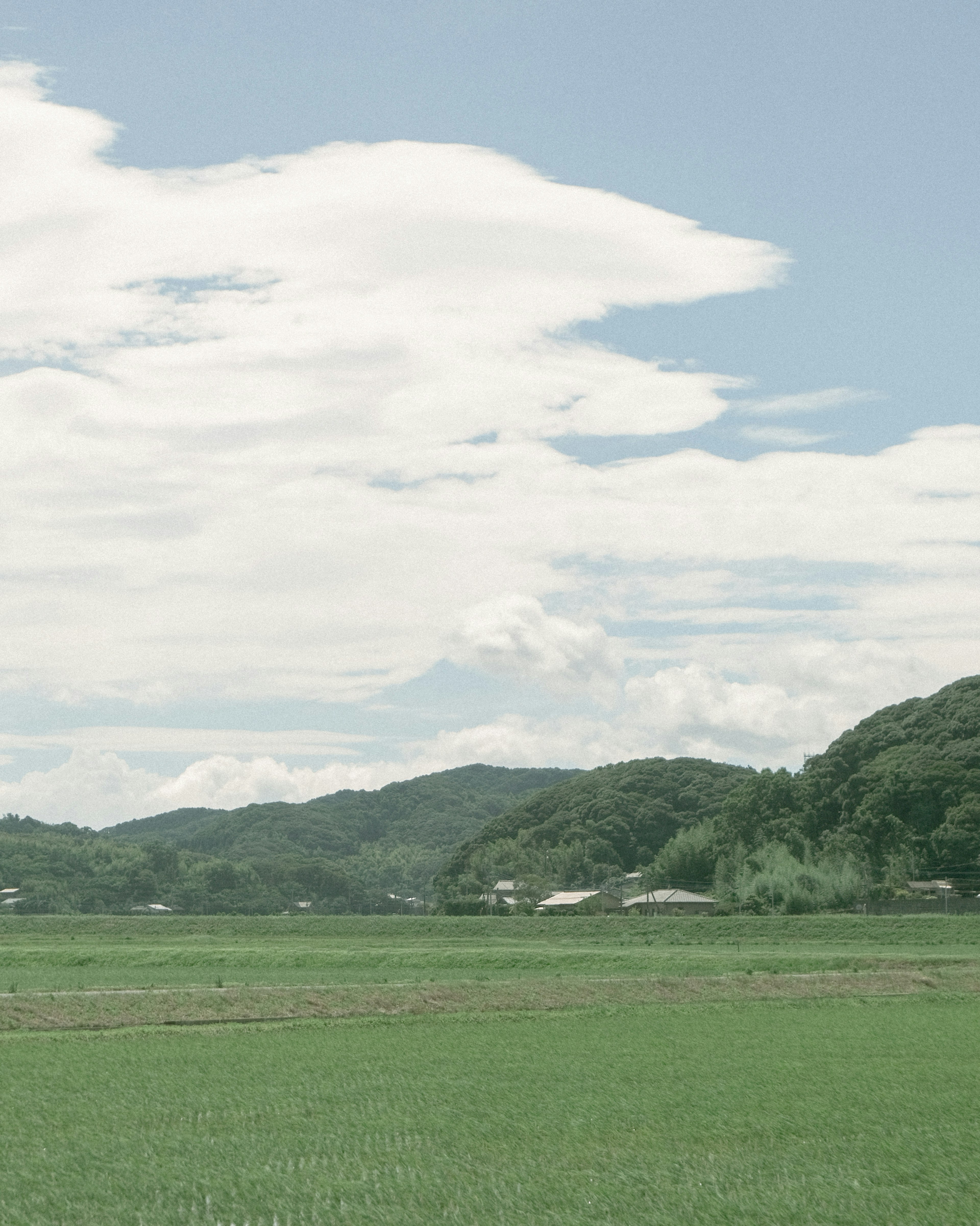 緑の田んぼと青い空に白い雲が広がる風景