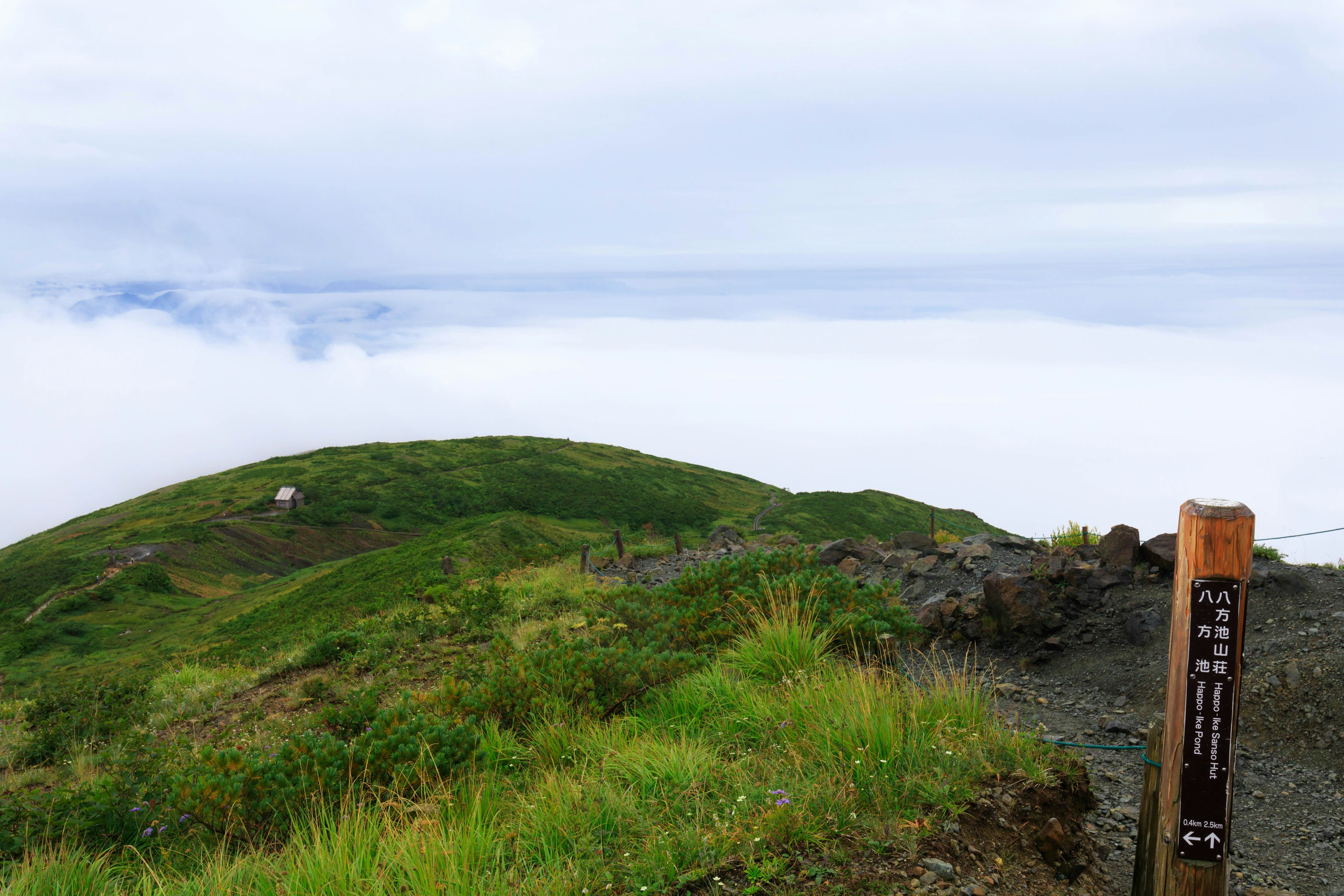 Bukit hijau subur di atas lautan awan dengan papan tanda