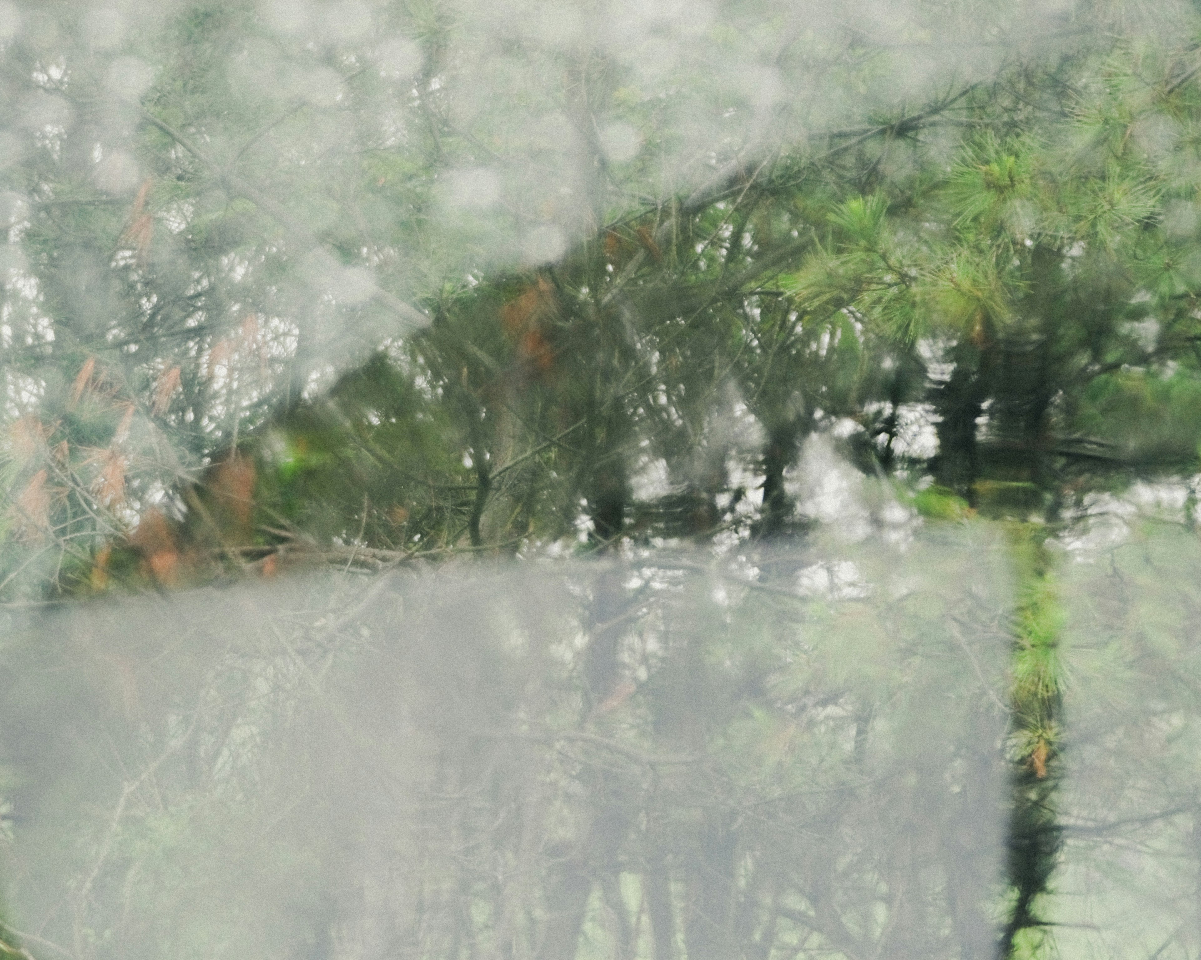 Blurry view of green trees through a foggy window