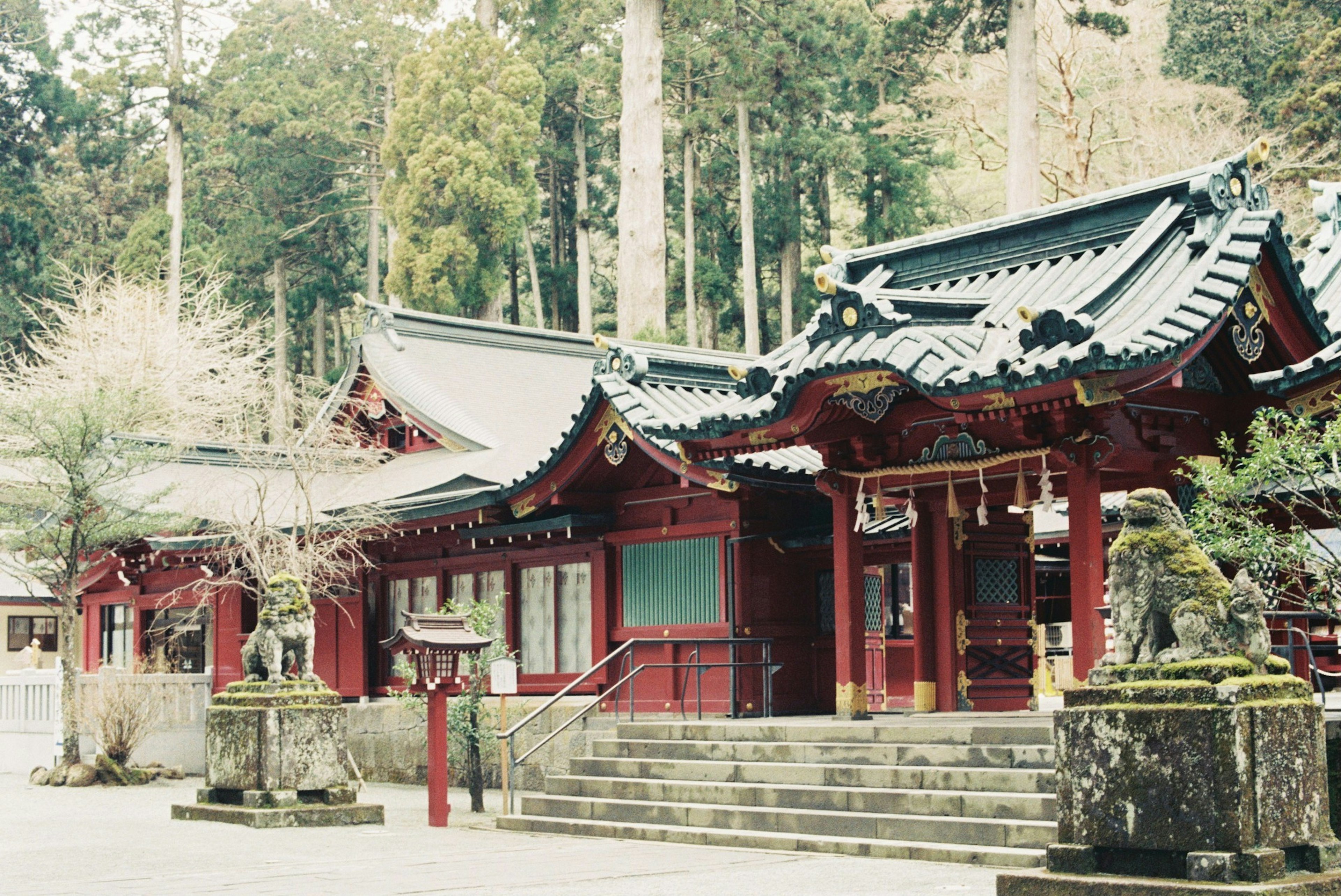 美麗的日本神社建築，紅色傳統屋頂，周圍環繞著綠色樹木