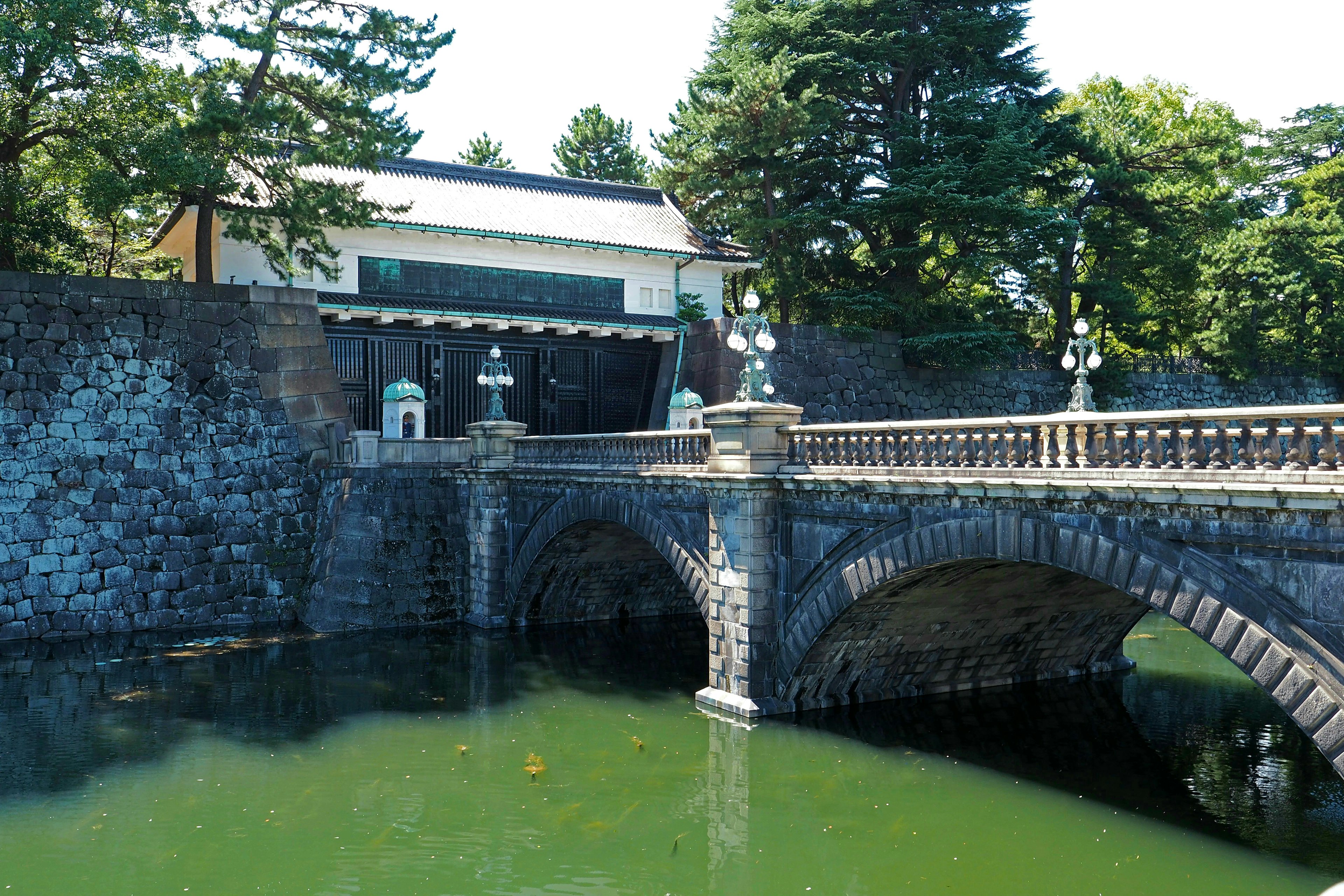 石桥横跨宁静的池塘，背景是郁郁葱葱的绿树