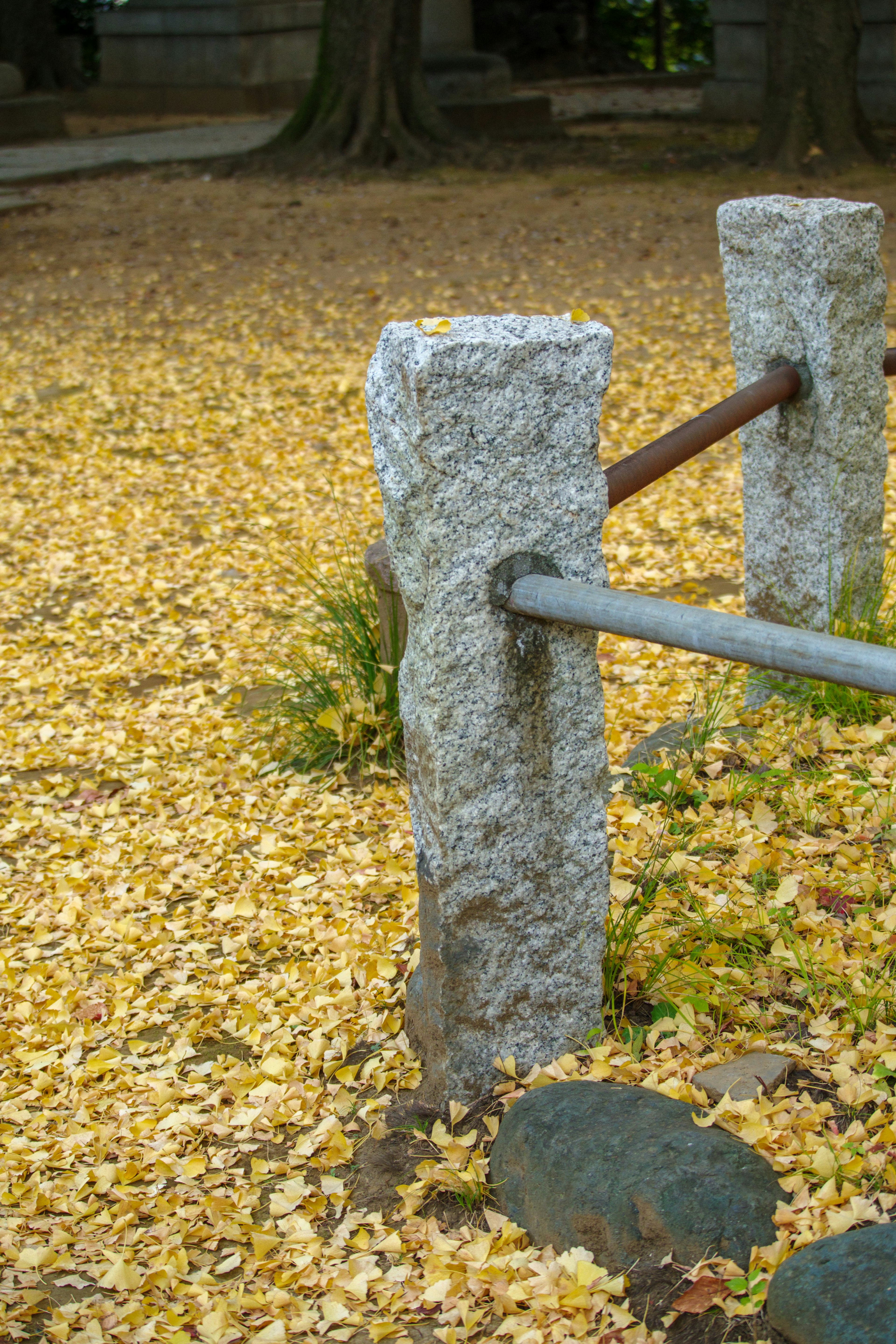 Stone pillars with a metal railing on a bed of fallen leaves