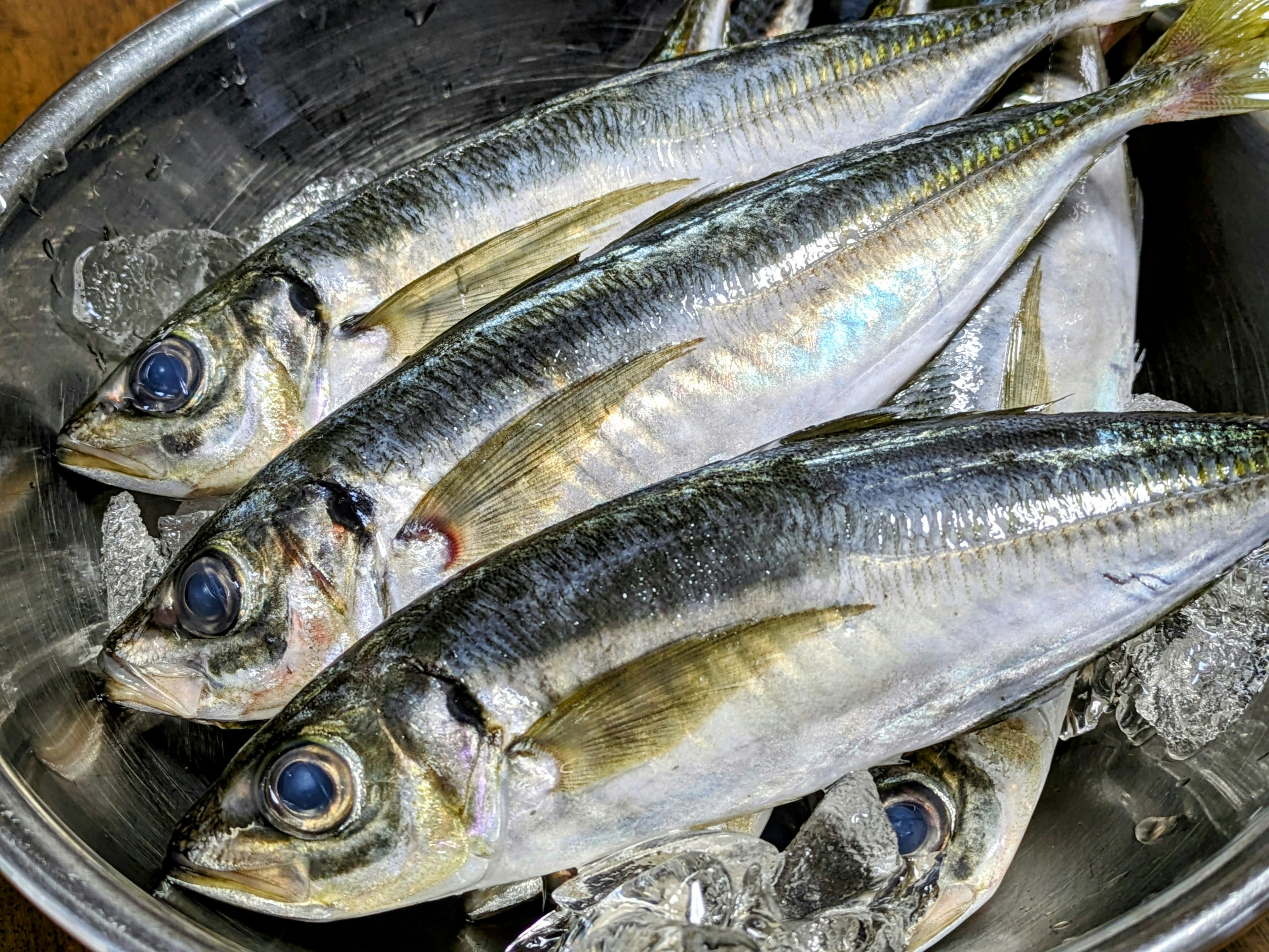 Poissons frais disposés sur de la glace dans un bol