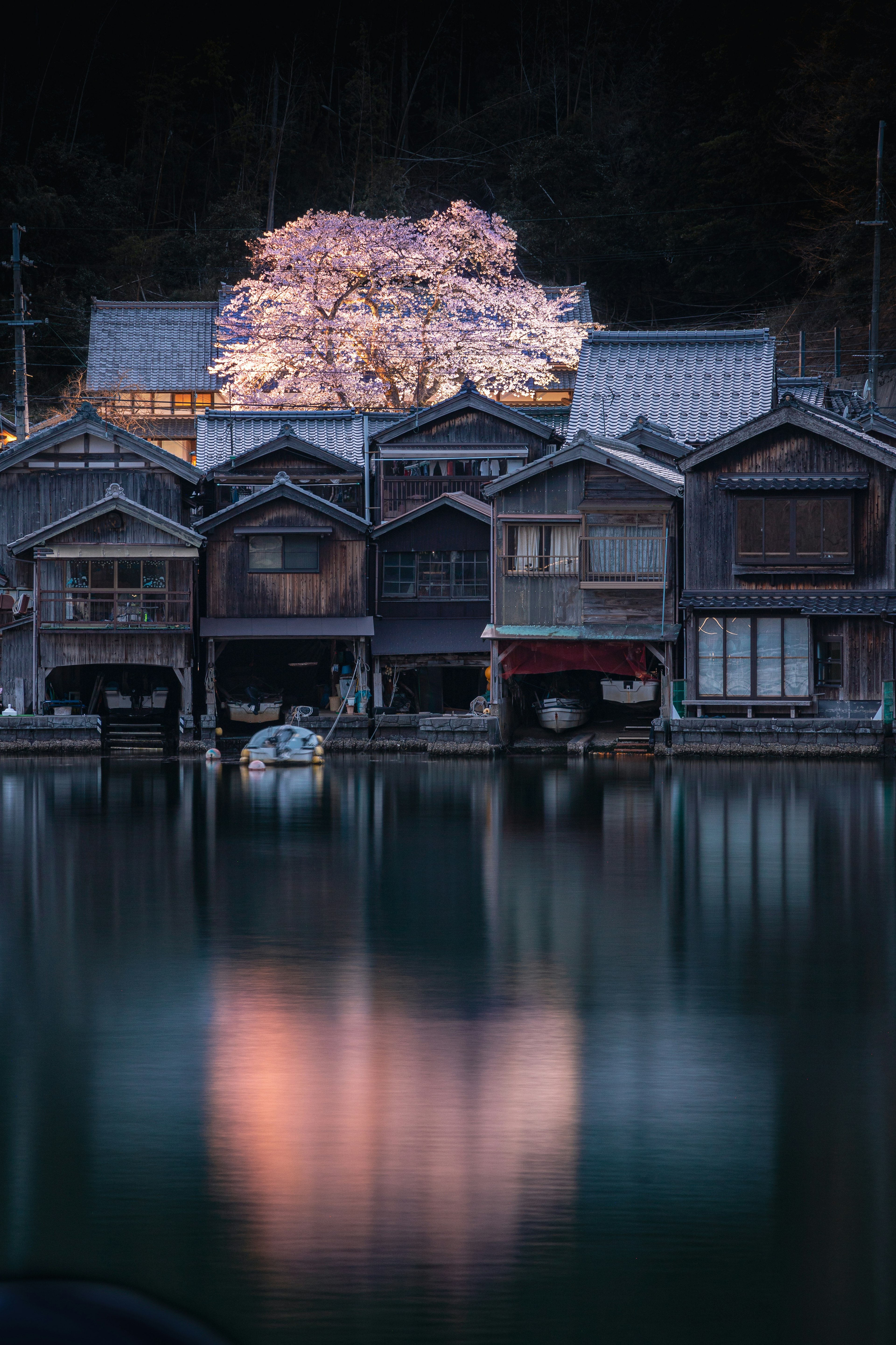 水面に映る桜の木と伝統的な漁村の家々の風景