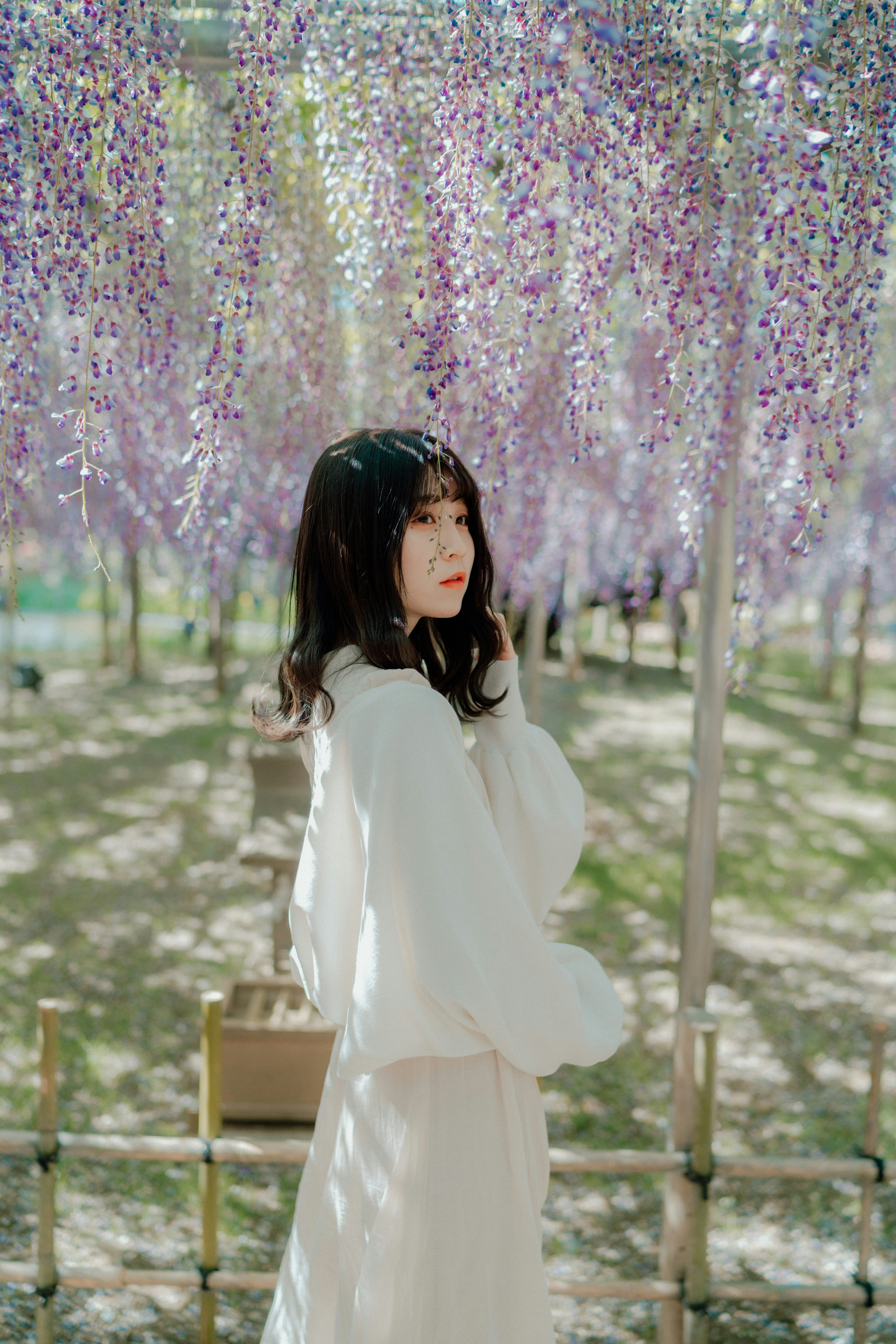 紫色の藤の花の下に立つ女性の写真 白い衣装を着ている