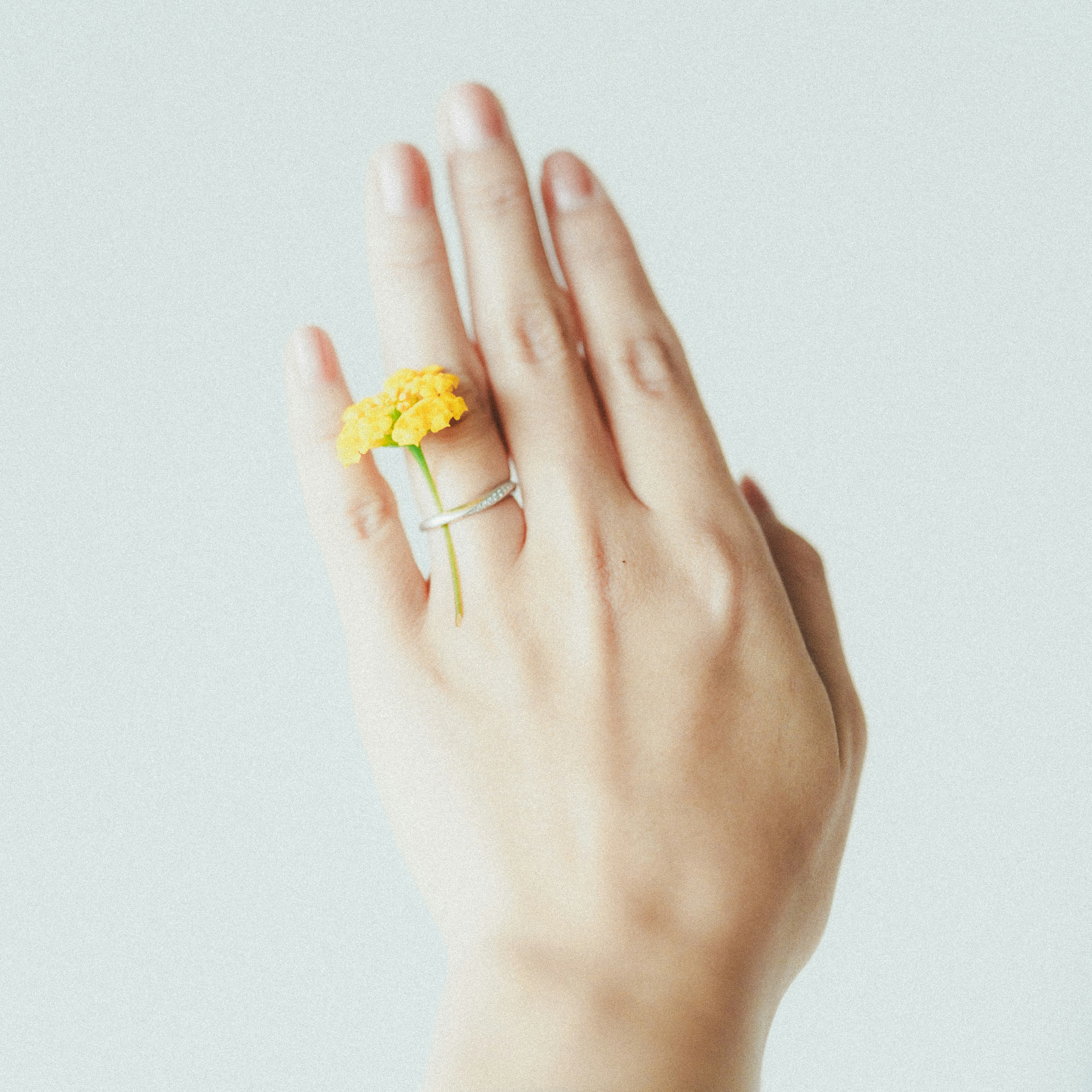 Hand wearing a ring designed with yellow flowers