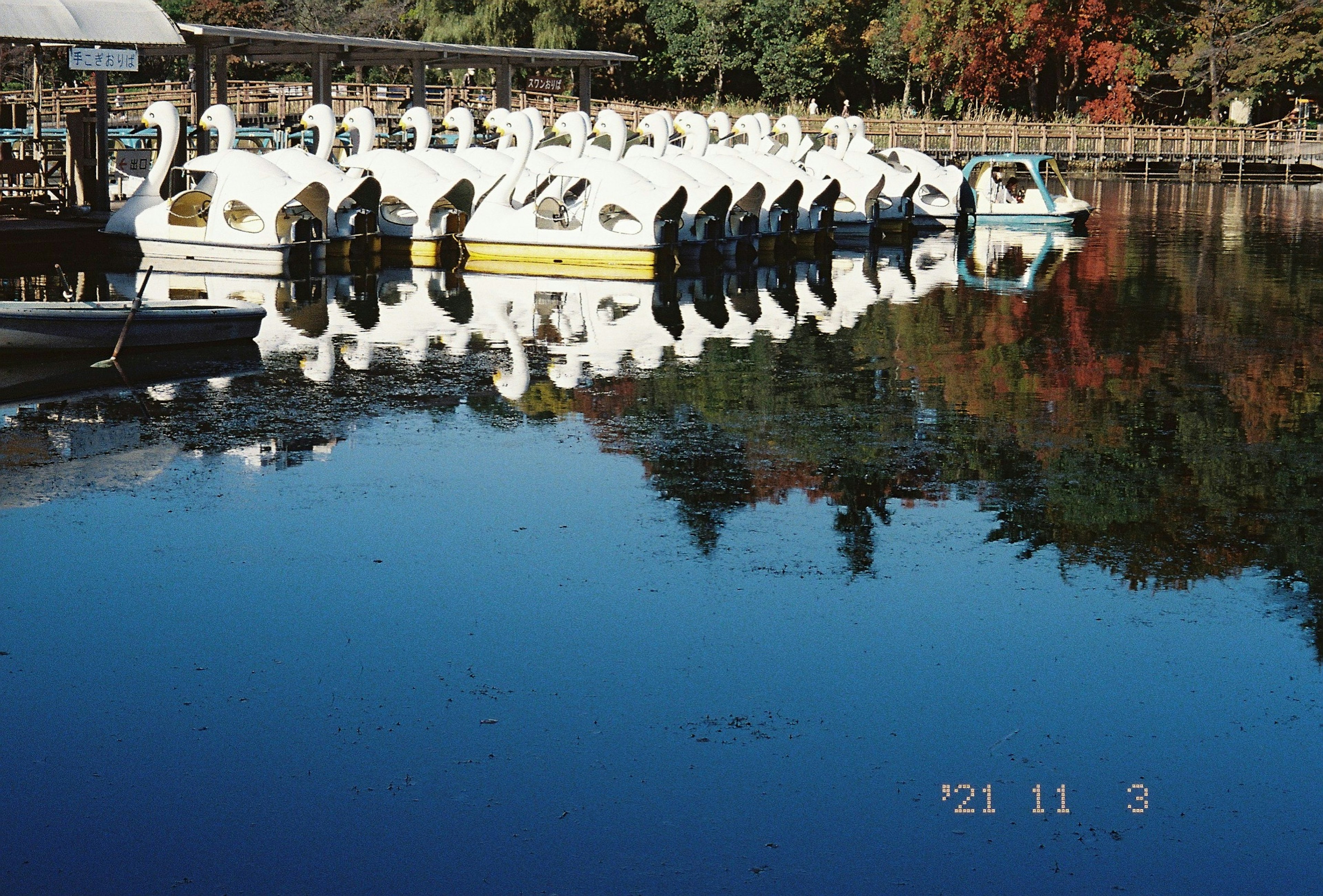 Botes en forma de cisne alineados en un lago tranquilo reflejándose en el agua azul con follaje otoñal