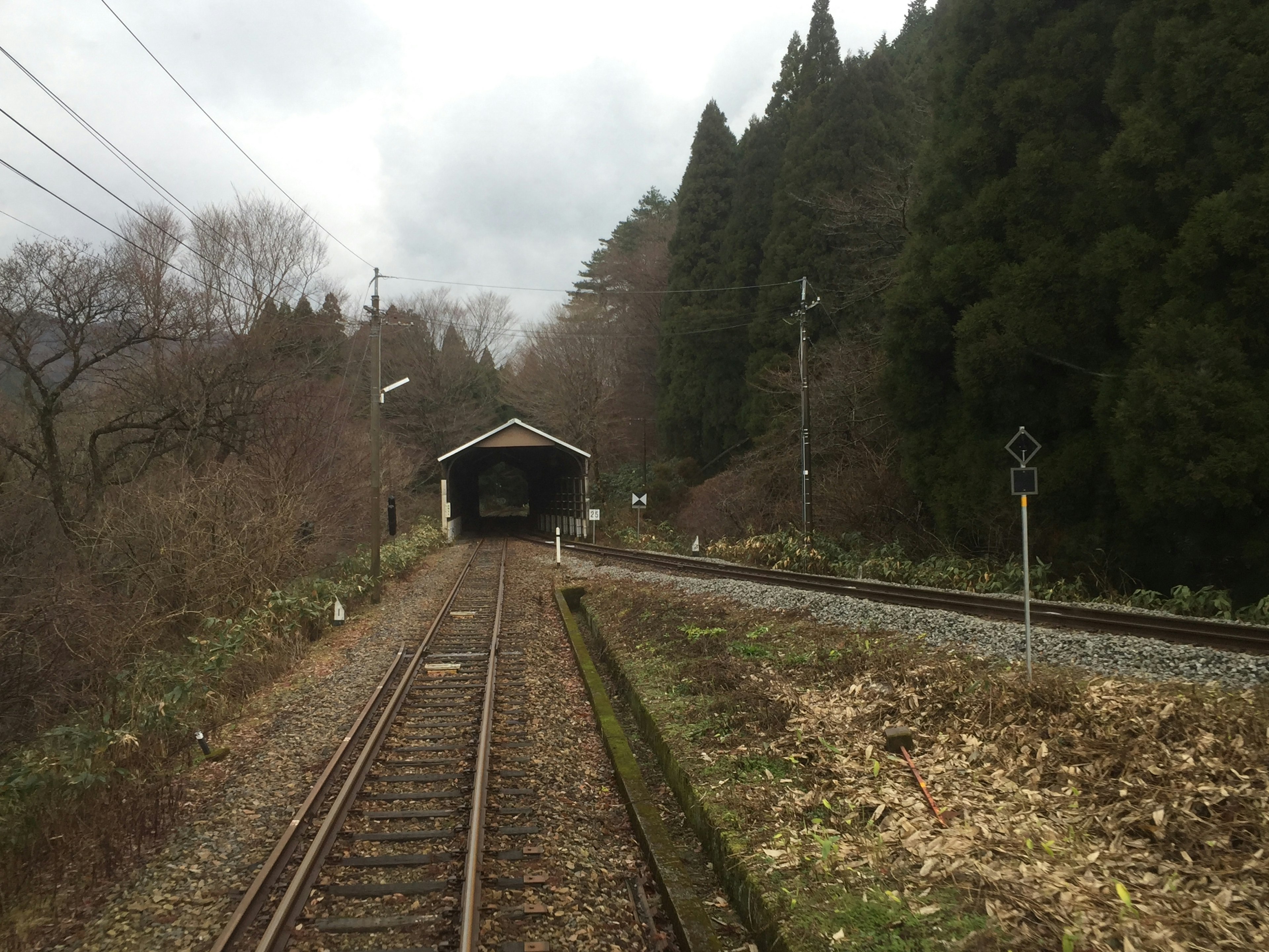 木々に囲まれた鉄道の風景で、屋根のある待合室が見える