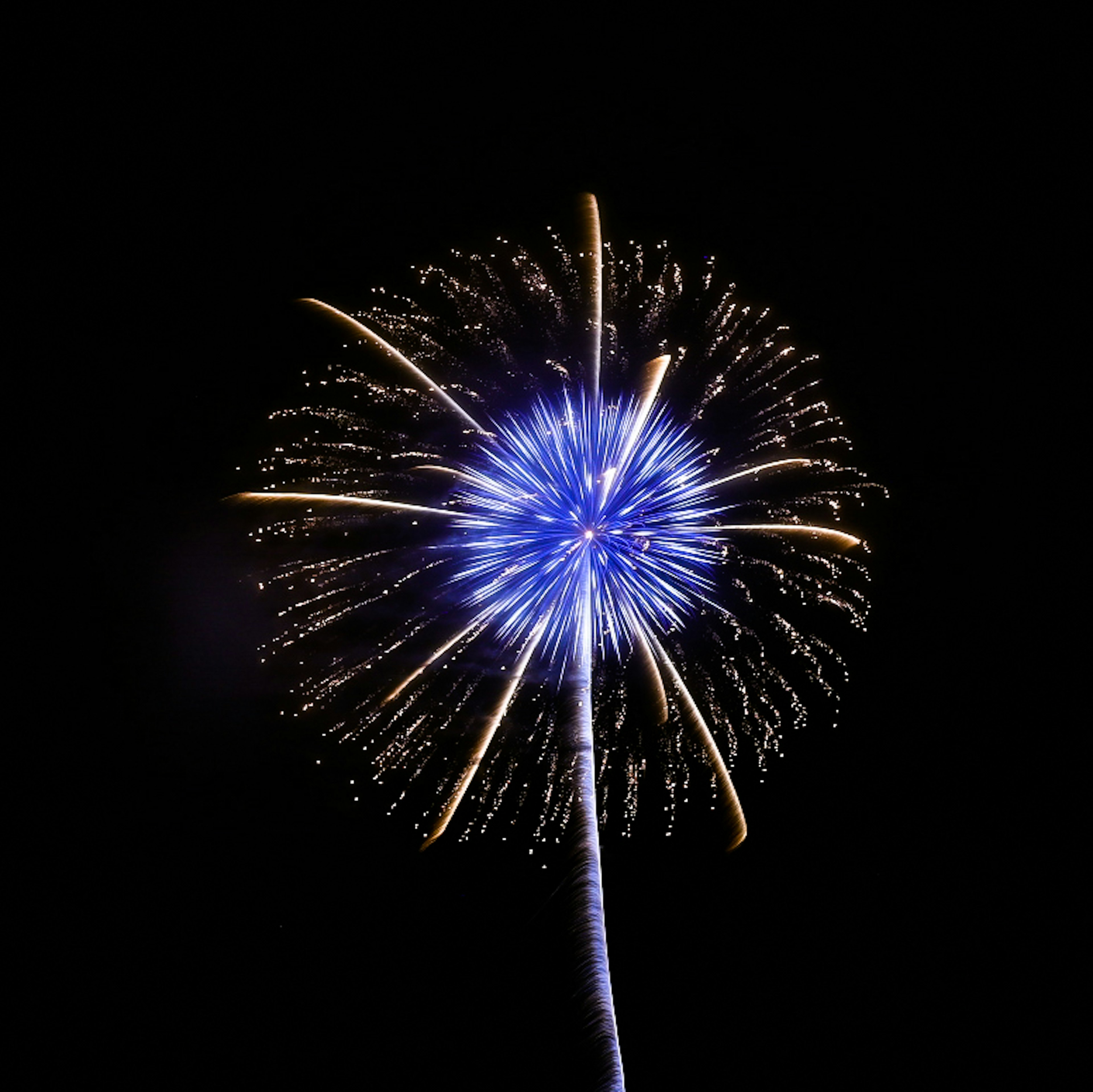 Ein blauer Feuerwerkskörper, der vor einem dunklen Hintergrund explodiert