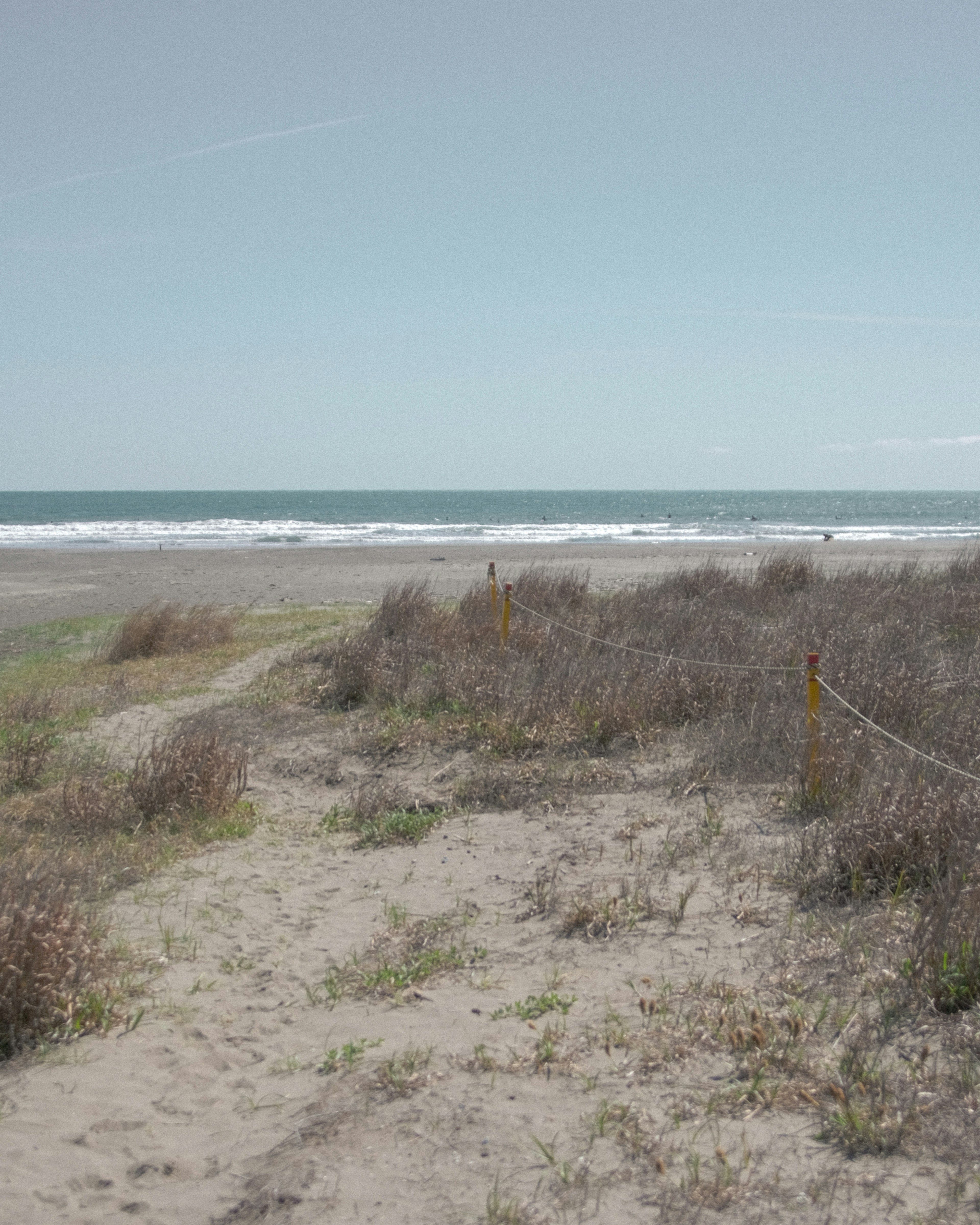 Sentier menant à une plage avec une végétation clairsemée et des vagues océaniques